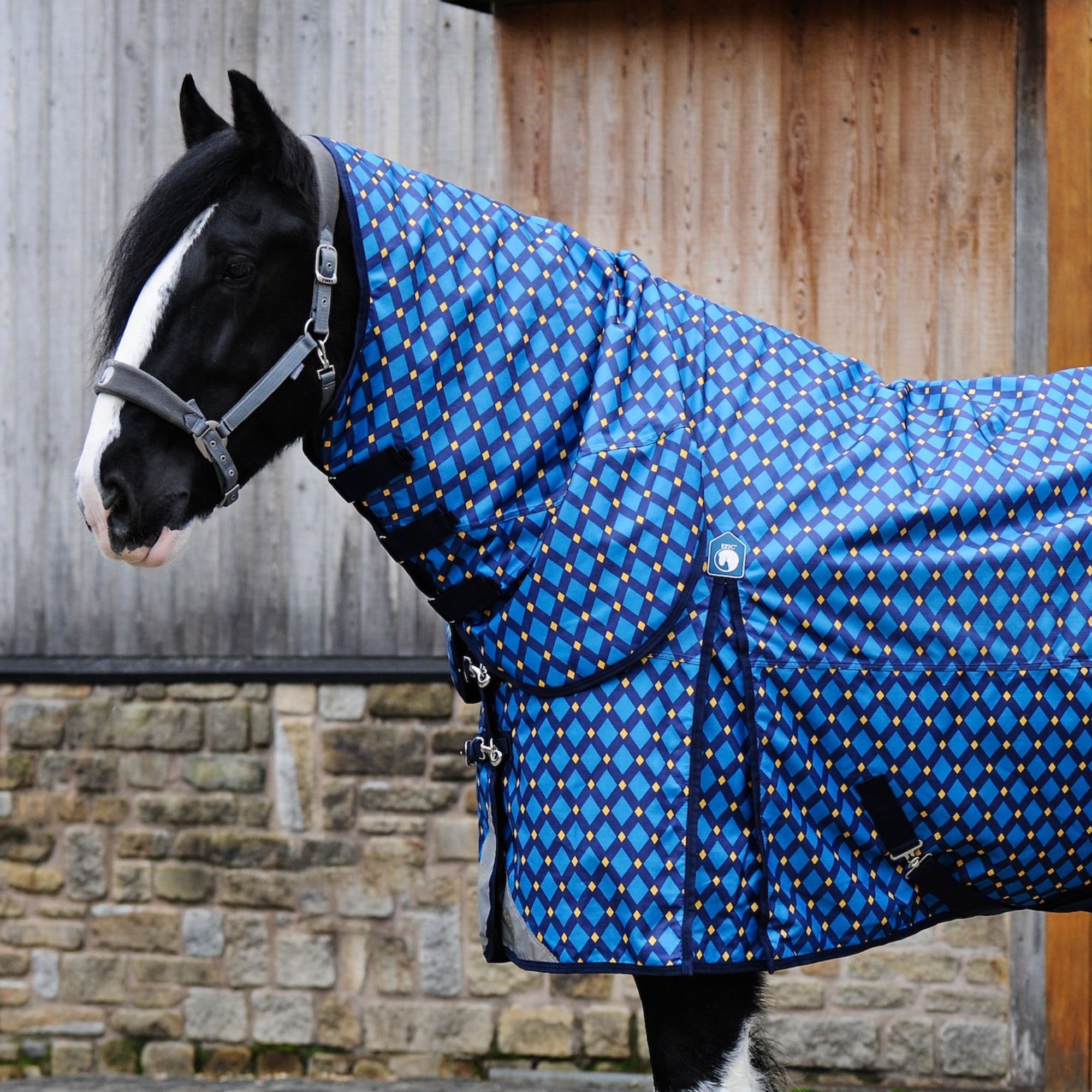 Horse wearing a blue patterned rug in front of a stone wall.