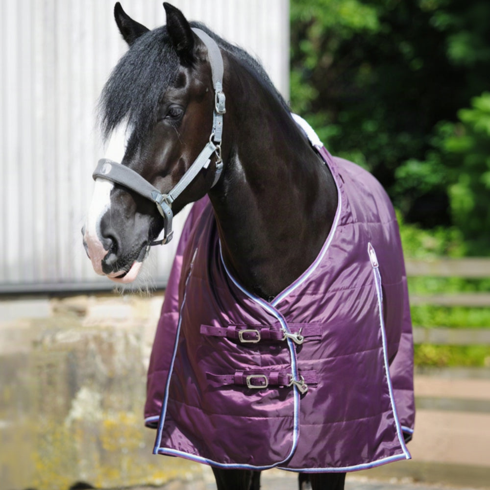 Heavyweight Rugs Classic 100g Stable Rug | Heavy Horses | The Big Horse Shop