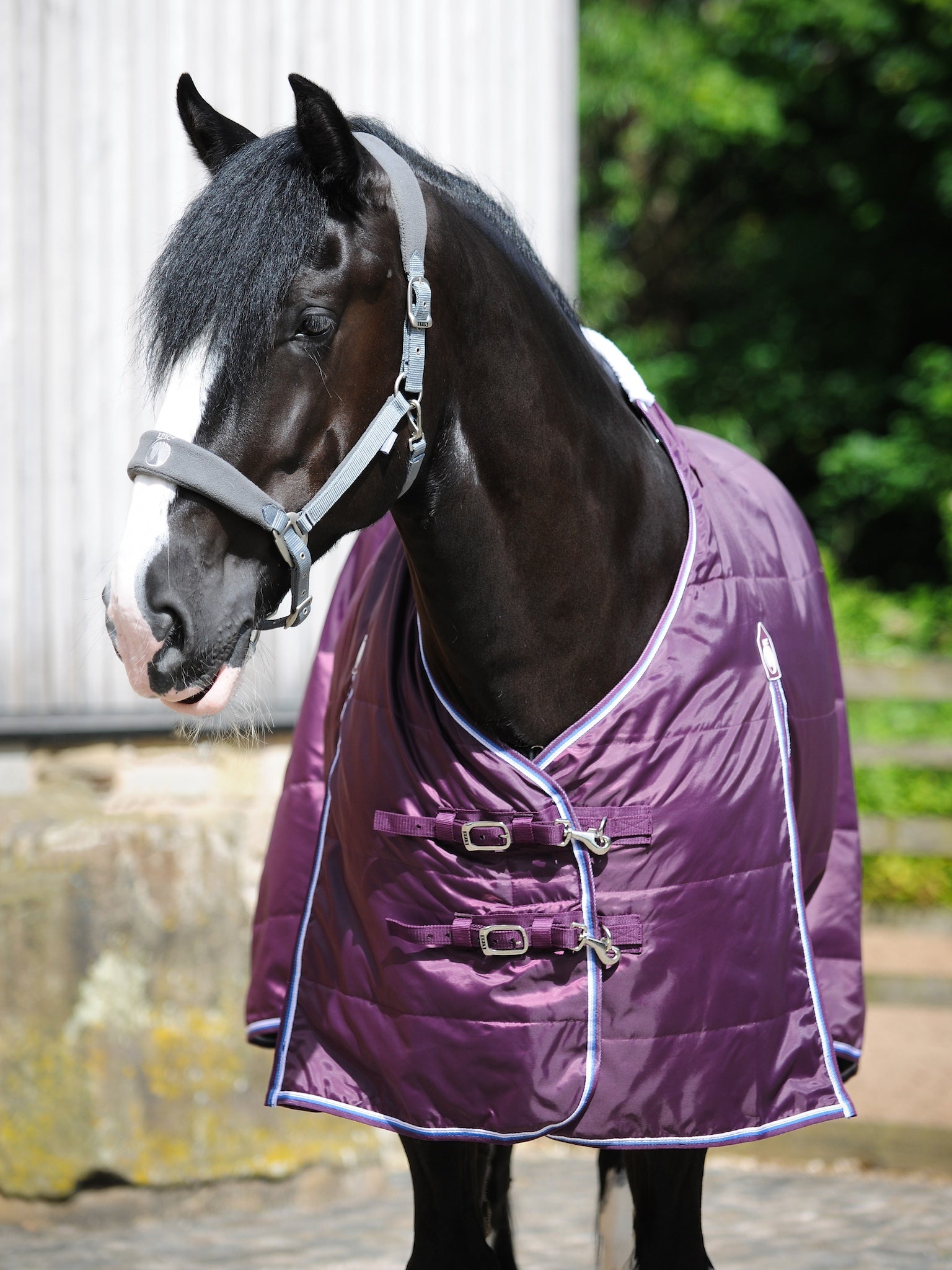 Epic Classic 50g Stable Rug - Broad Fit