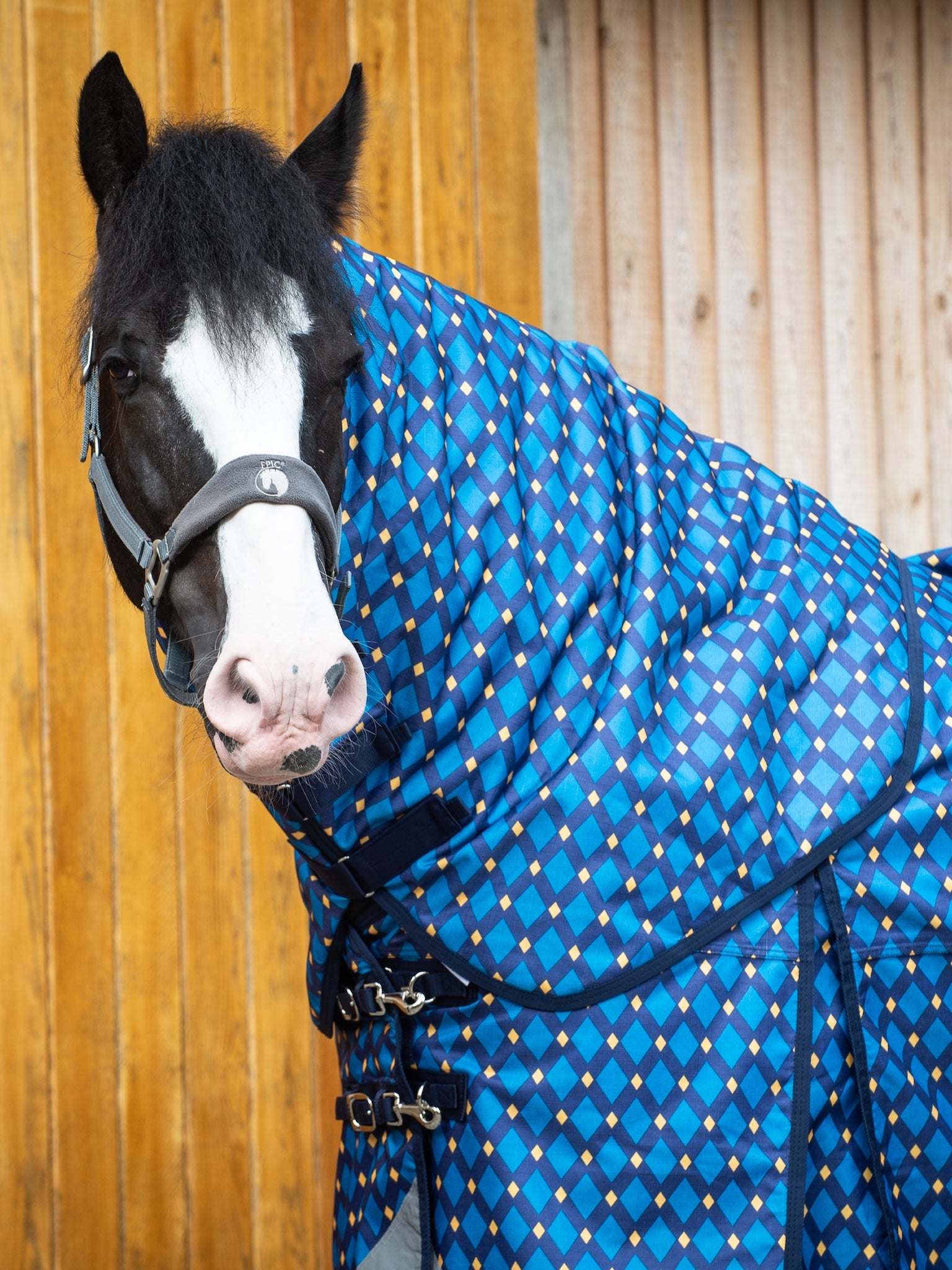 Epic Classic 100g Turnout Hood - Broad Fit