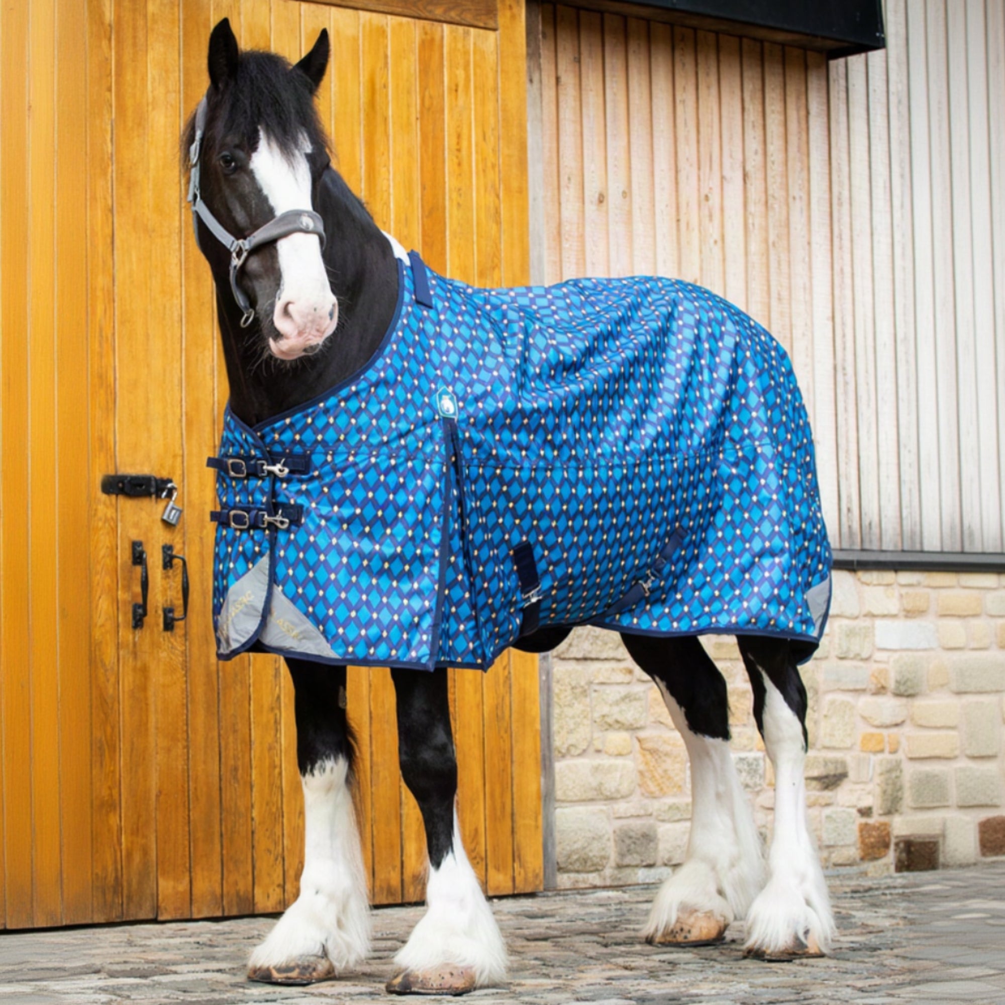 Horse wearing a blue patterned rug standing in front of a wooden door.