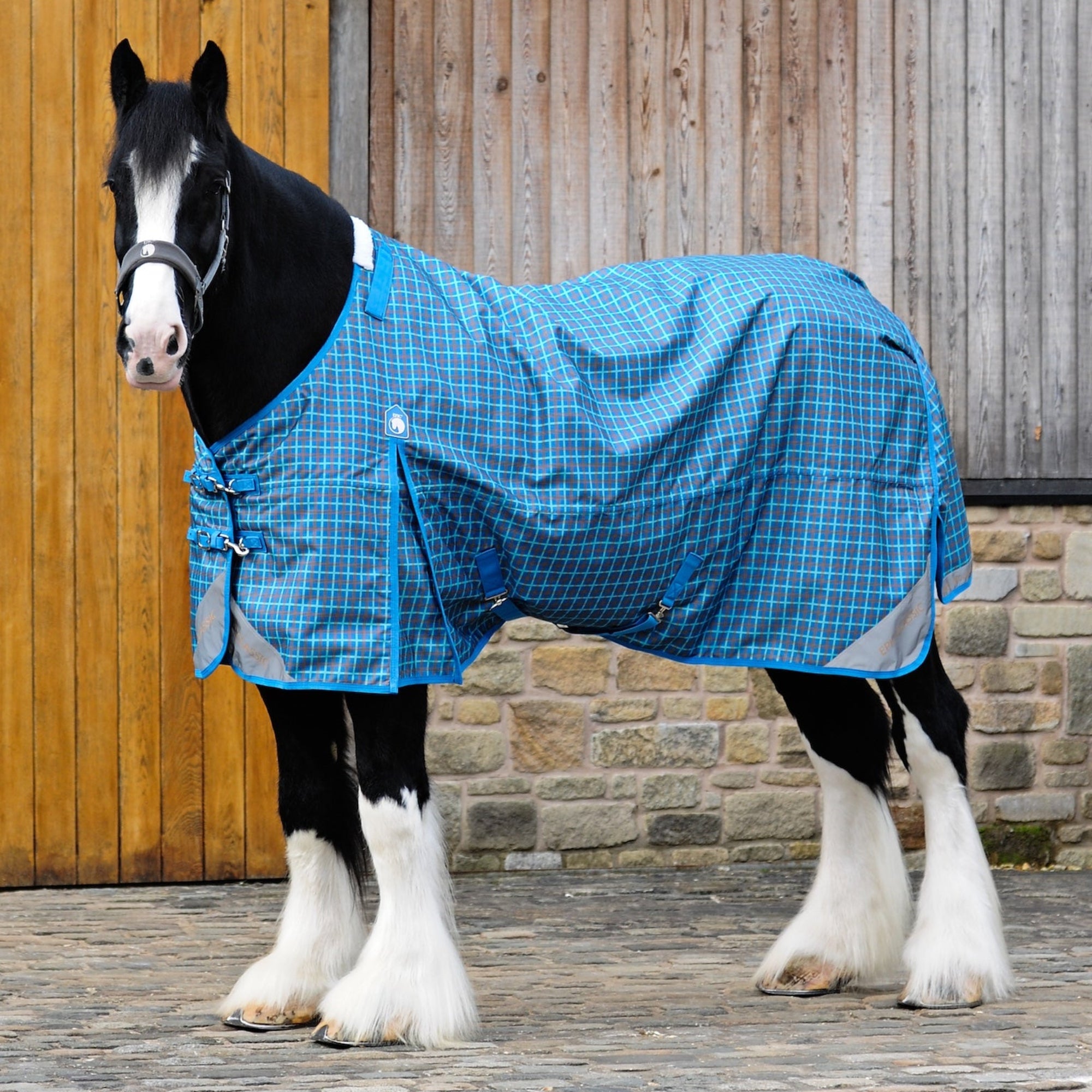 Horse wearing a blue checkered rug standing in front of a wooden stable.