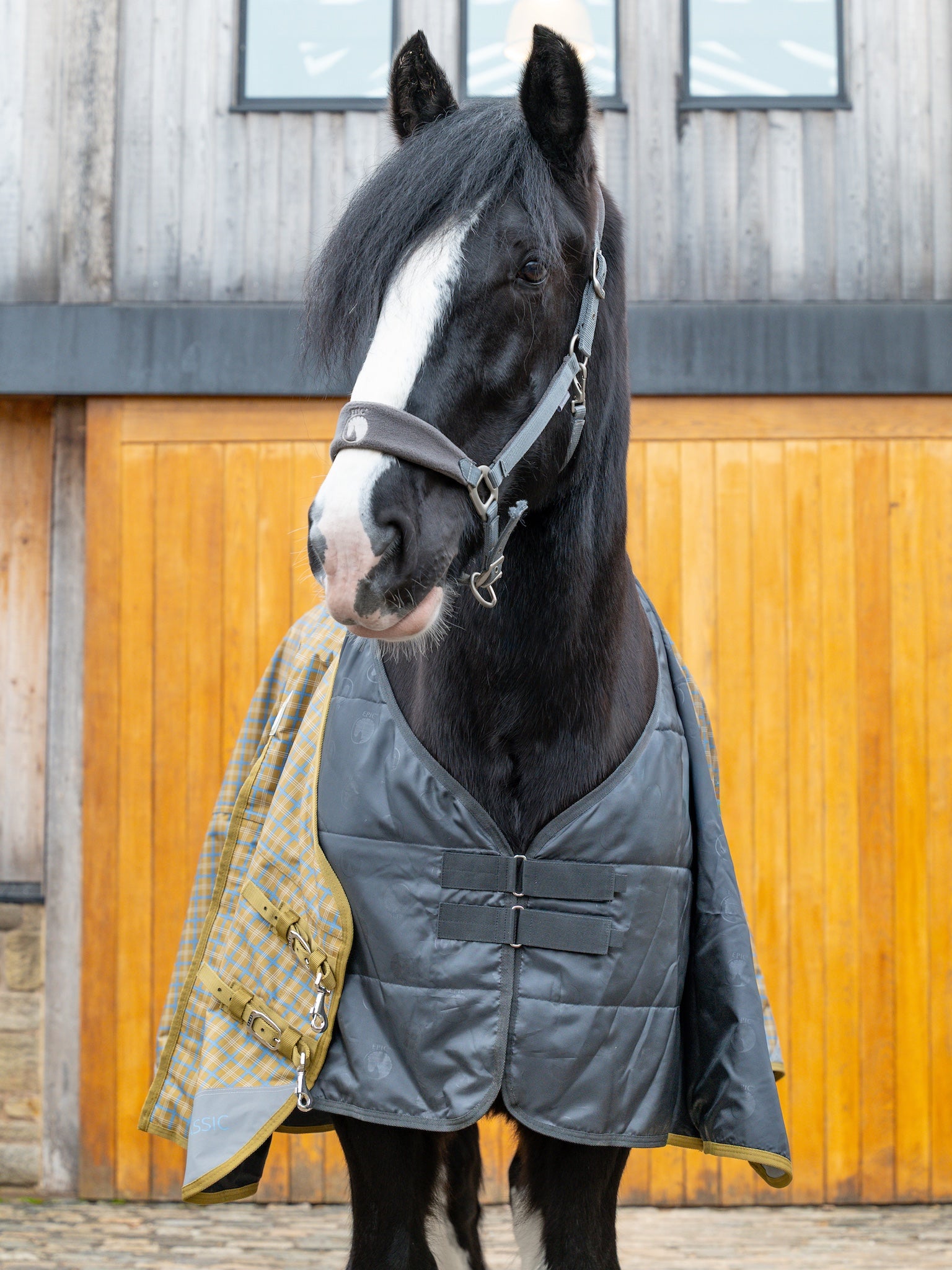 Epic Classic No Fill Turnout Rug  -  Broad Fit