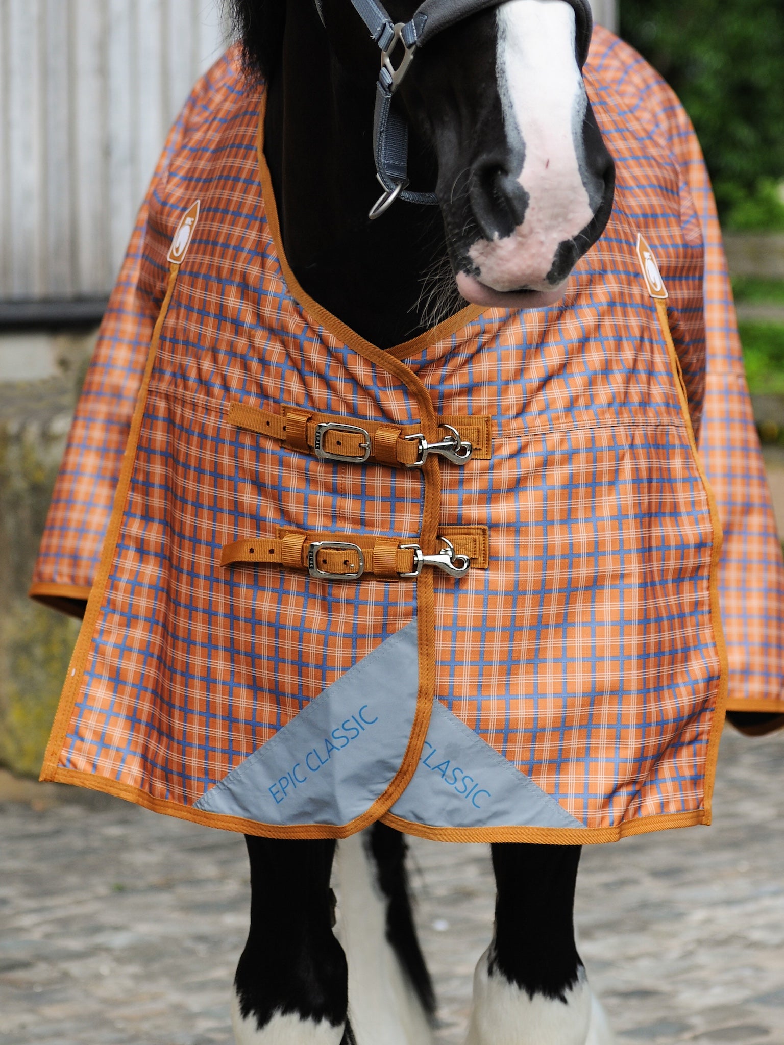 Epic Classic No Fill Turnout Rug  -  Broad Fit