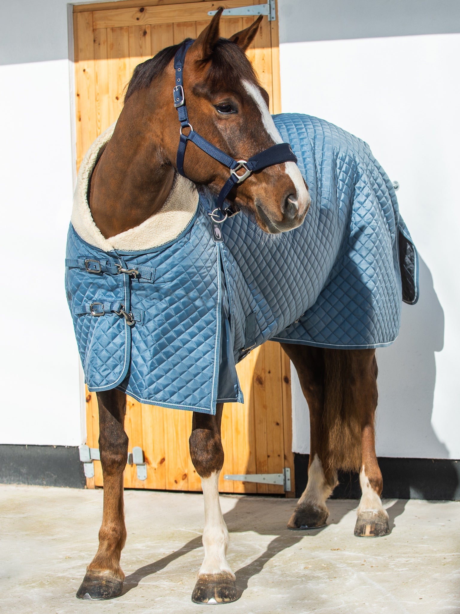 Epic Classic 50g Stable Rug - Regular Fit