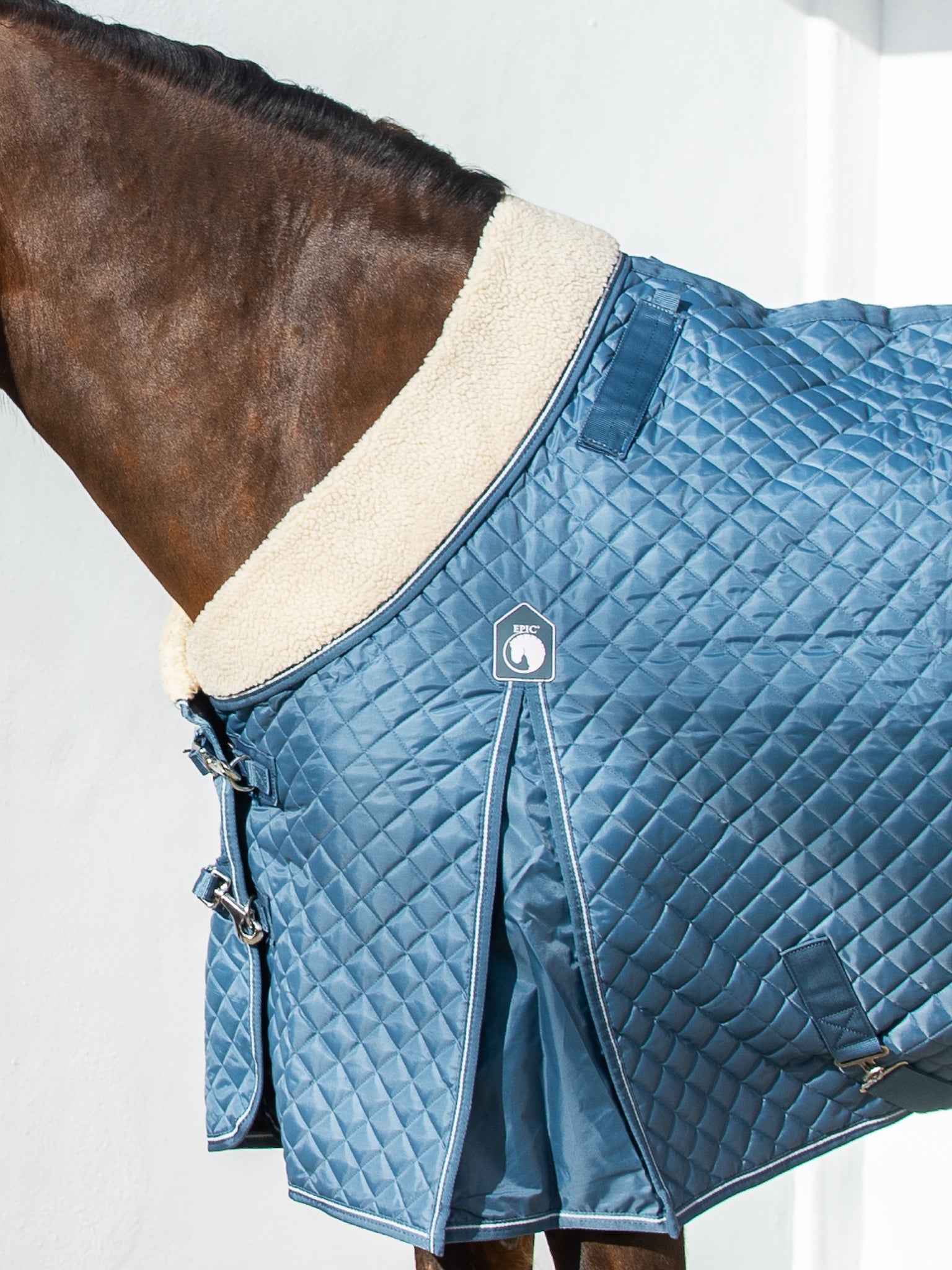 Epic Classic 50g Stable Rug - Regular Fit