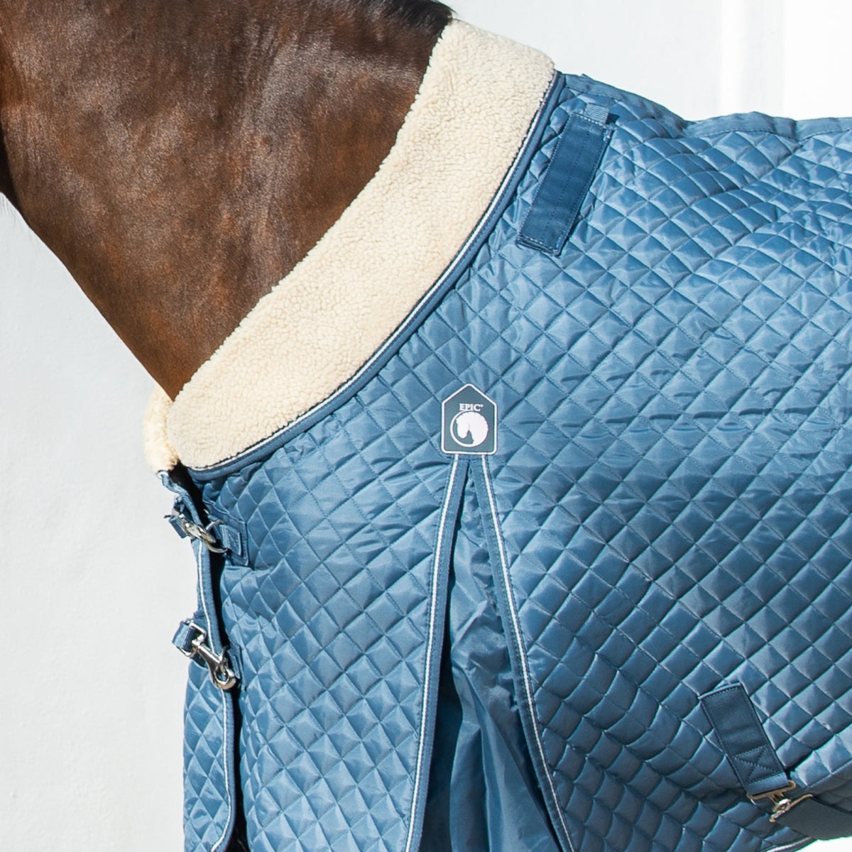 Horse wearing a blue quilted blanket with beige lining on a white background