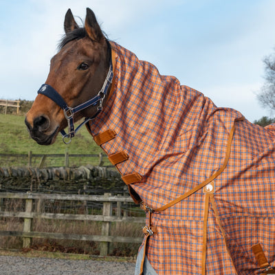 Horse wearing an orange and brown checkered rug in an outdoor setting