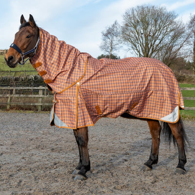 Horse wearing a red checkered rug in an outdoor setting with trees and sky.