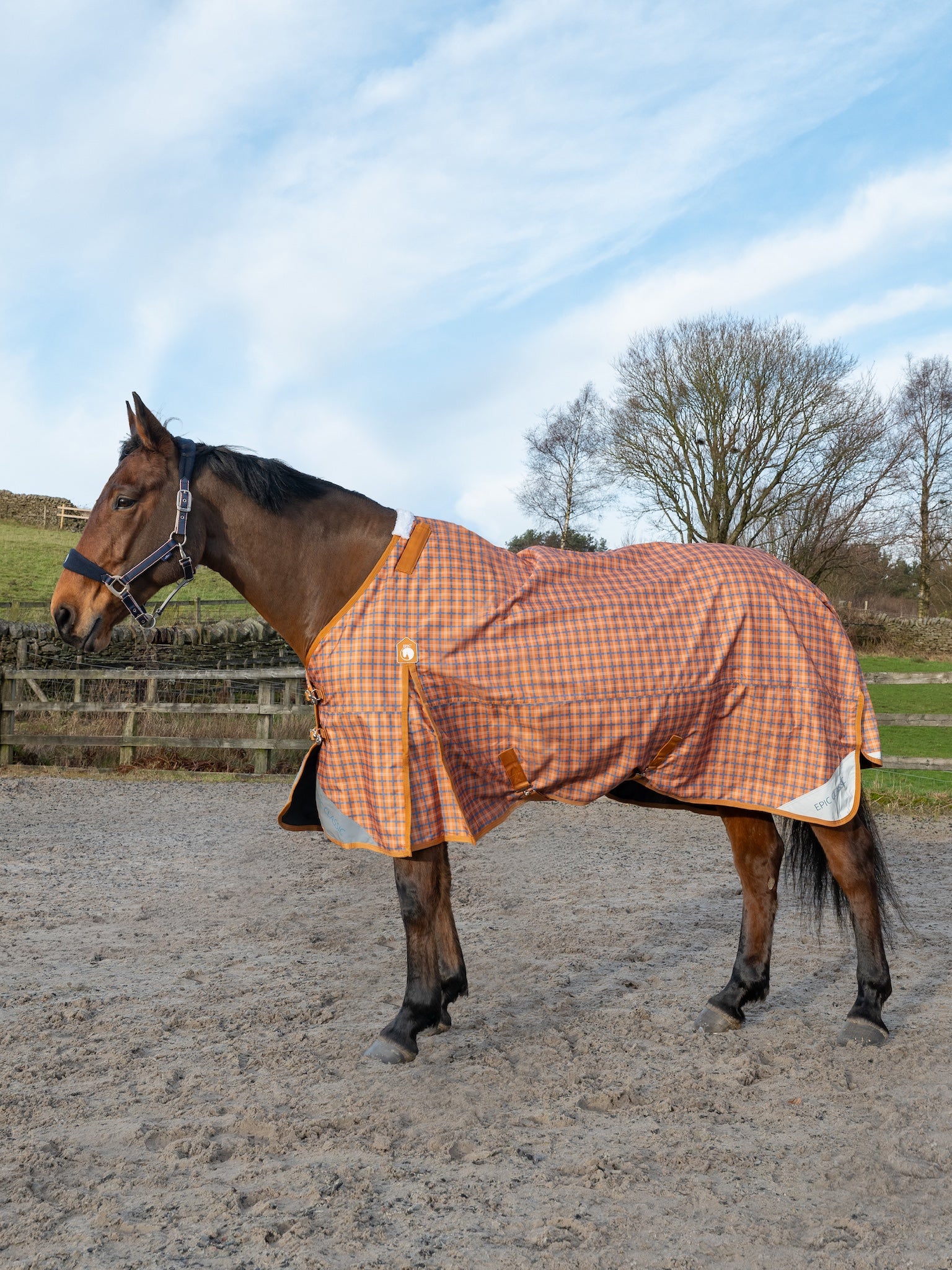 Epic Classic No Fill Turnout Rug  -  Regular Fit
