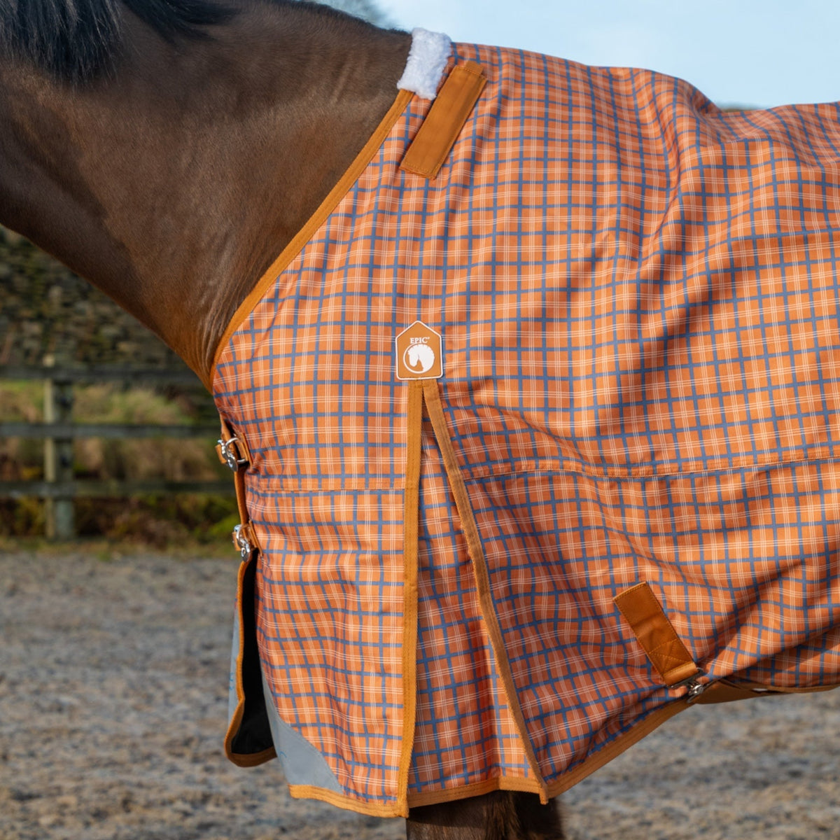 Horse wearing an orange and blue checkered rug in an outdoor setting