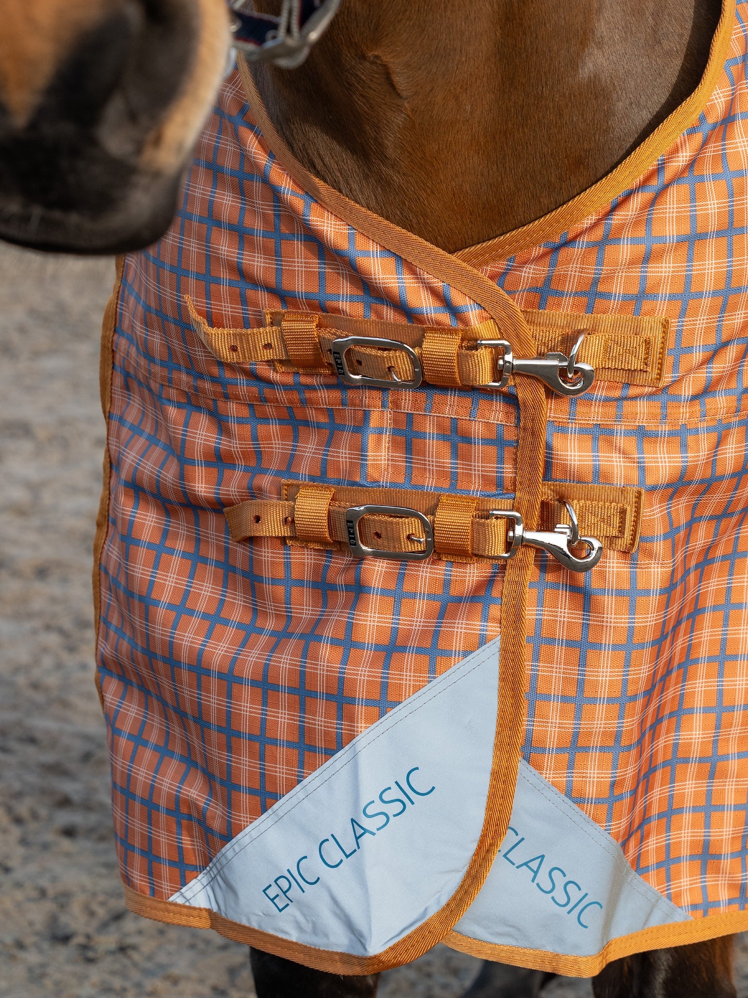 Epic Classic No Fill Turnout Rug  -  Regular Fit