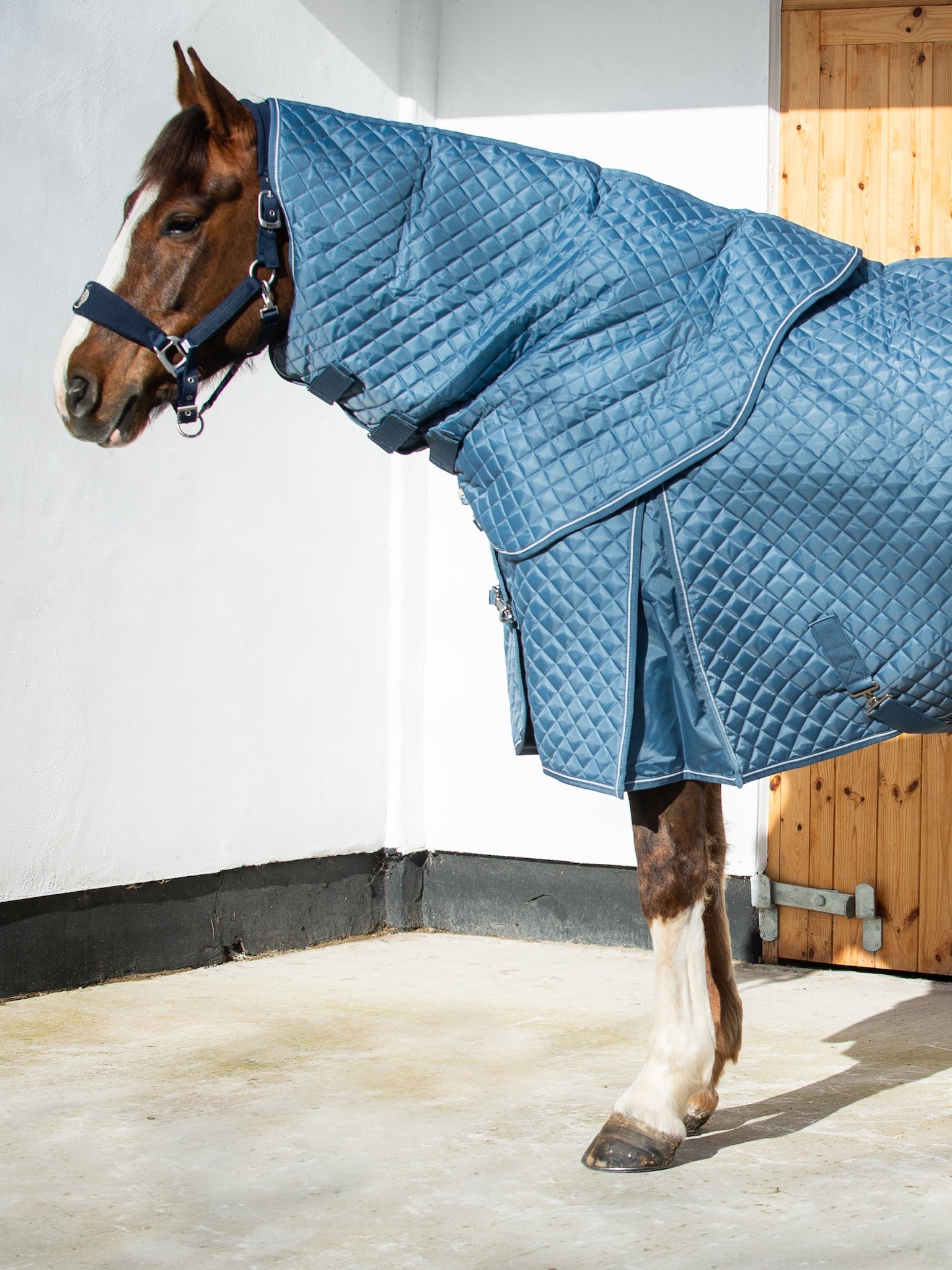 Epic Classic 50g Stable Hood - Regular Fit