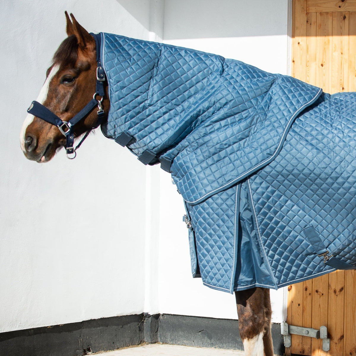 Horse wearing a blue quilted blanket in a stable.