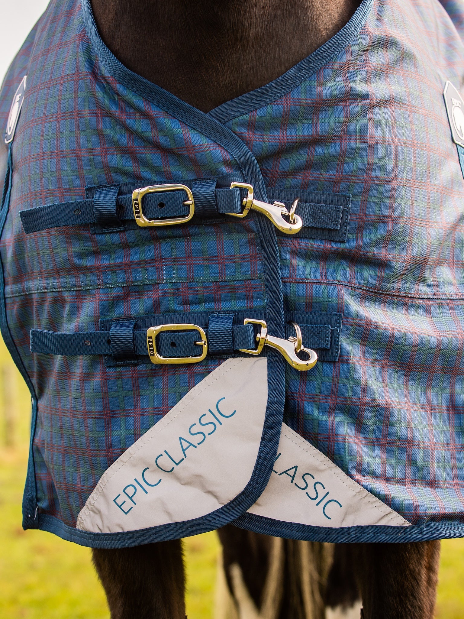 Epic Classic 100g Turnout Rug - Regular Fit