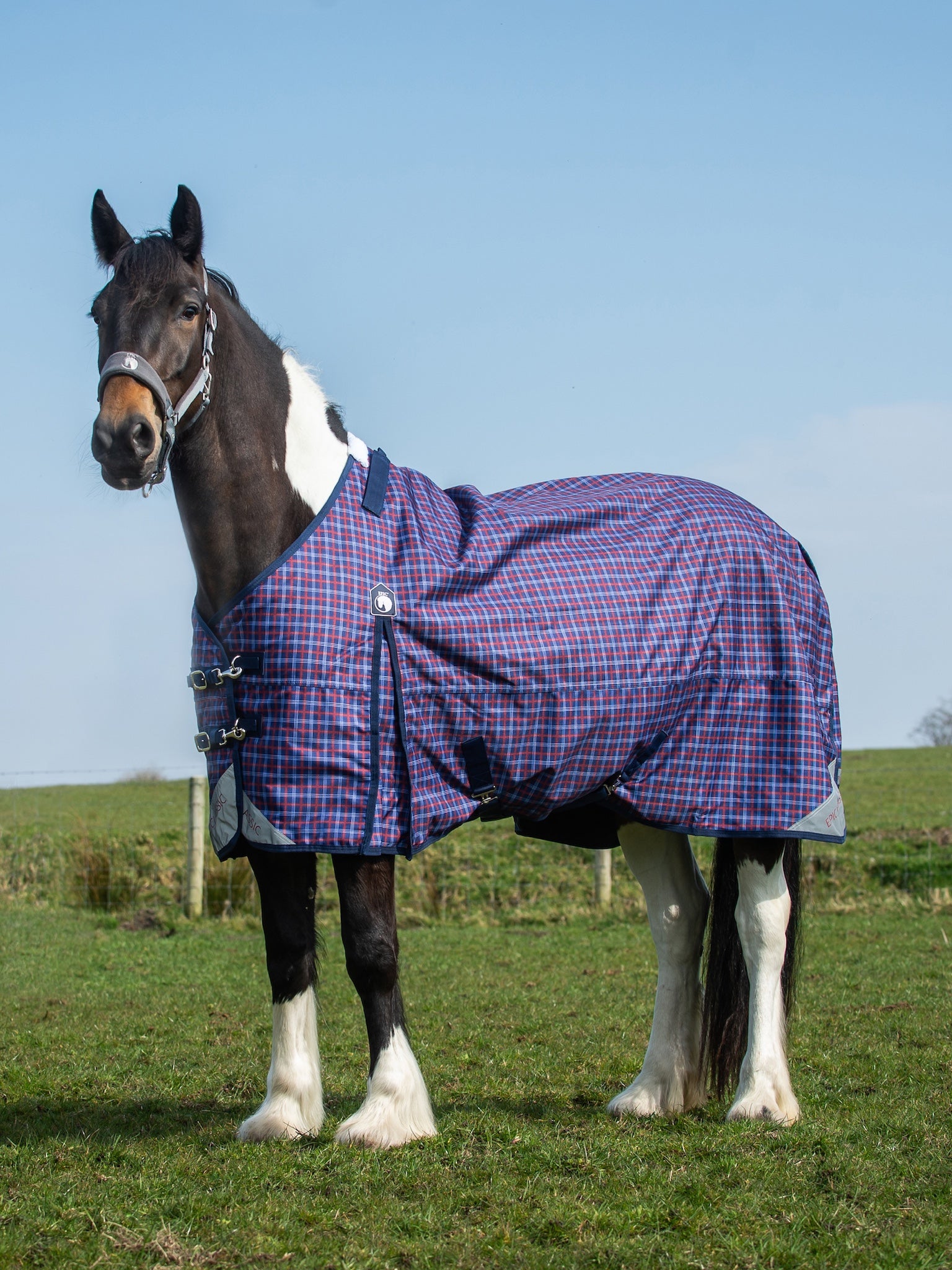 Epic Classic 50g Turnout Rug - Regular Fit