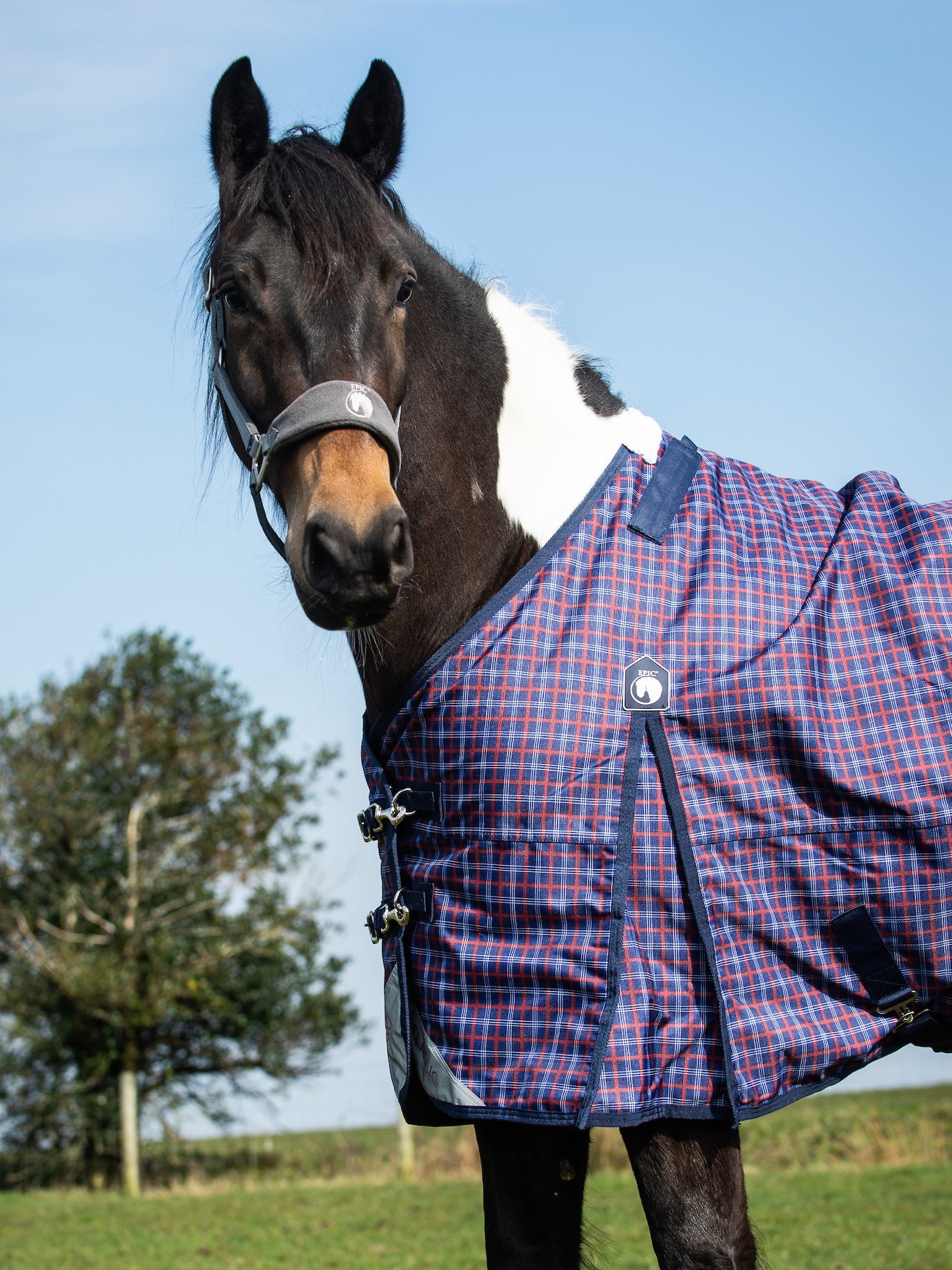 Epic Classic 50g Turnout Rug - Regular Fit