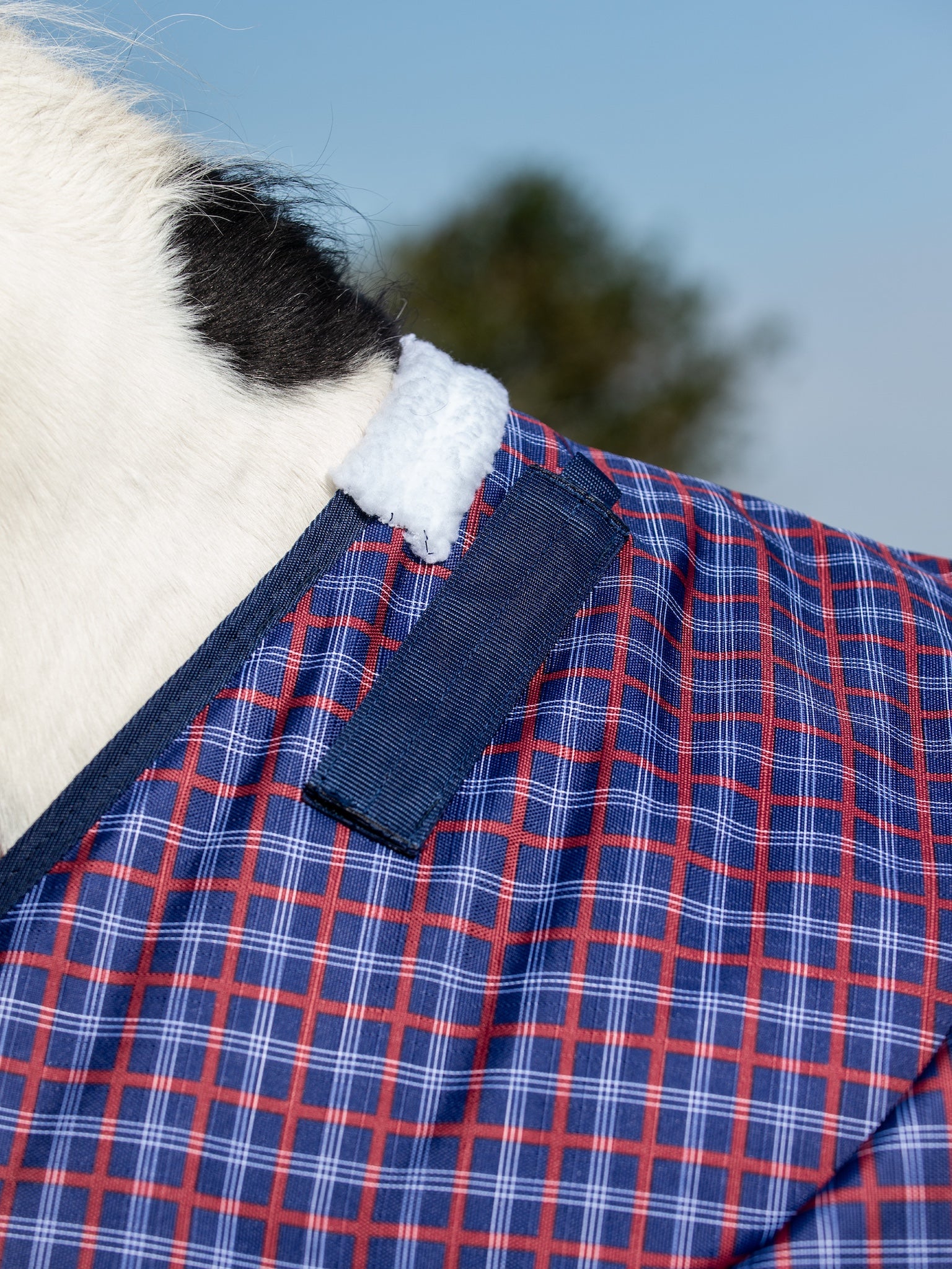 Epic Classic 50g Turnout Rug - Regular Fit