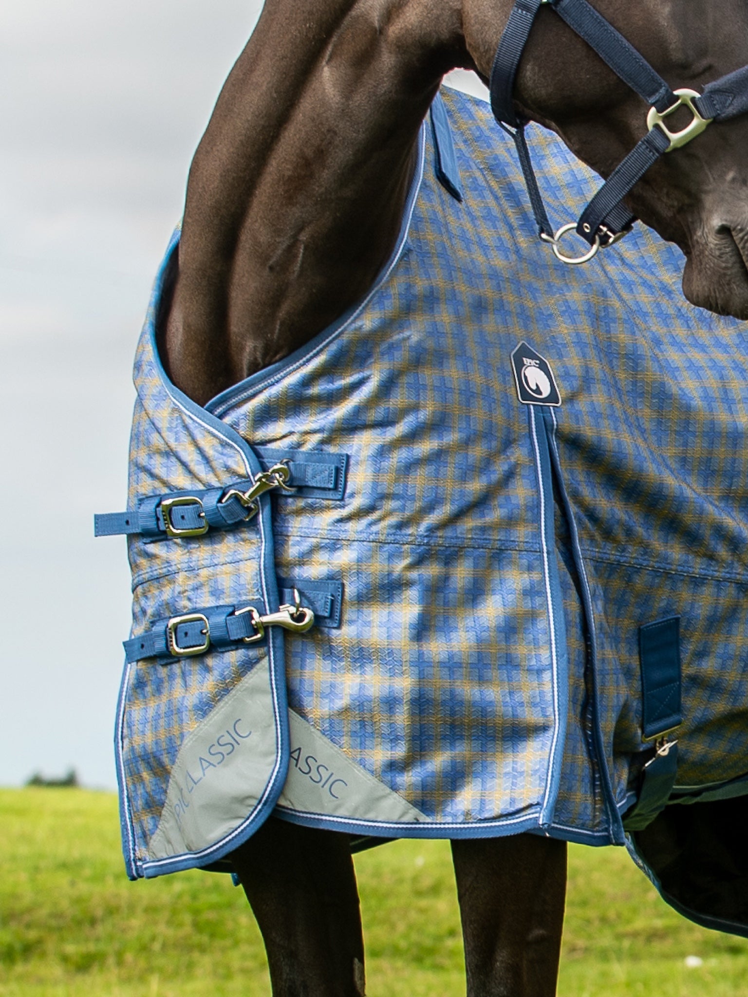 Epic Classic No Fill Turnout Rug  -  Regular Fit