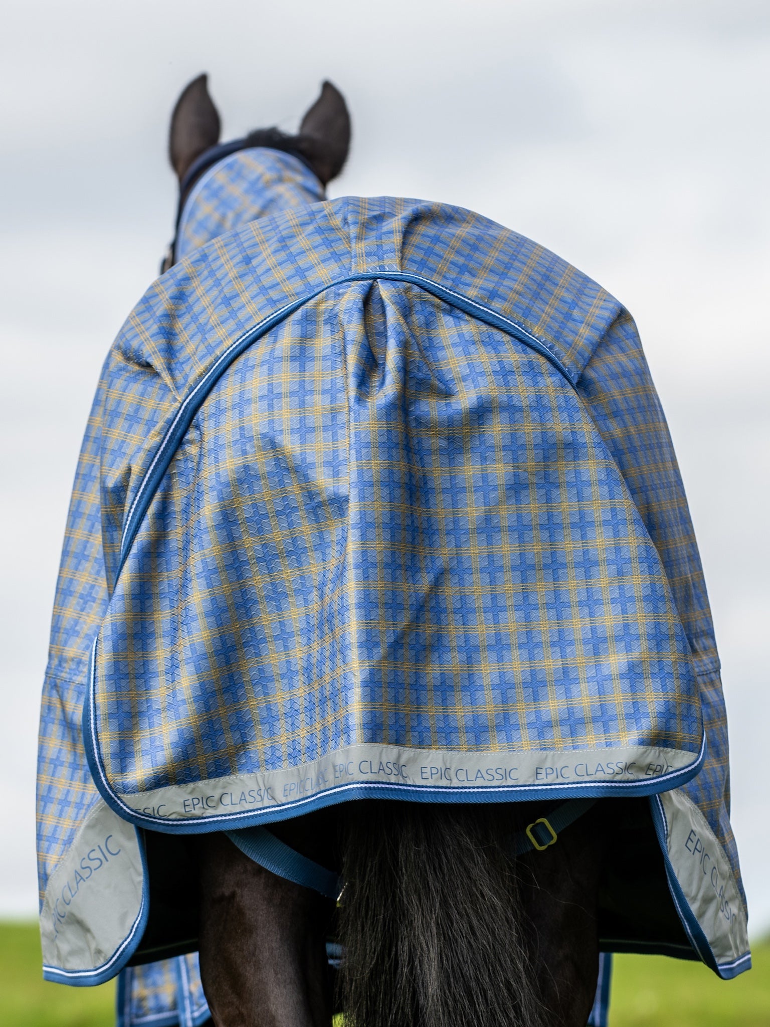 Epic Classic No Fill Turnout Rug  -  Regular Fit