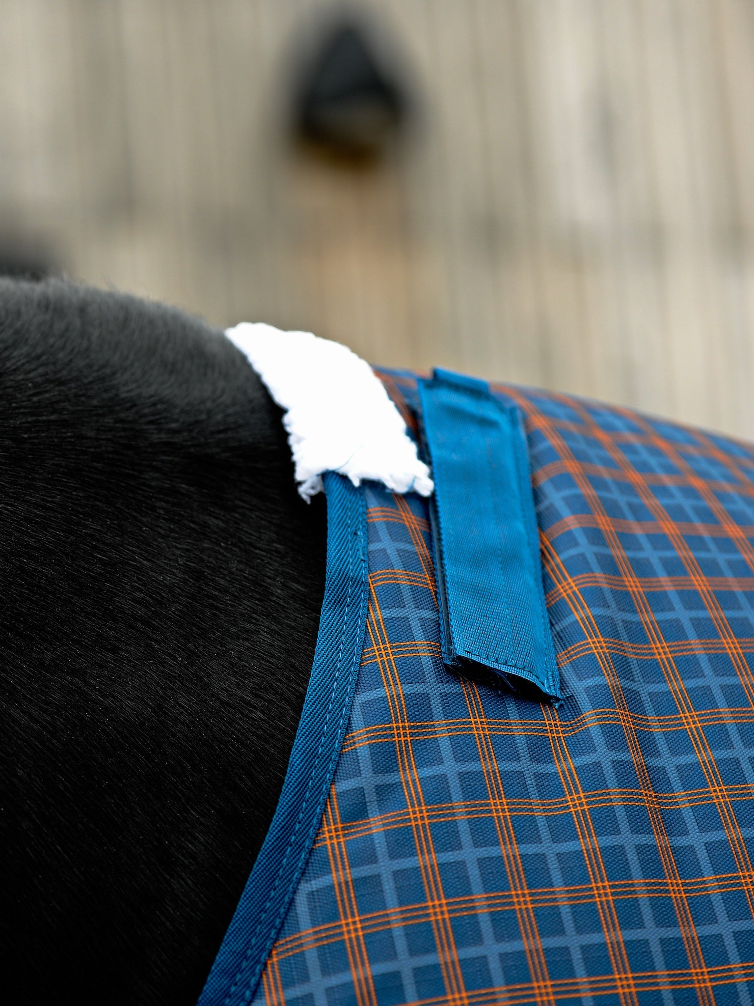 Epic Classic 200g Turnout Rug - Broad Fit