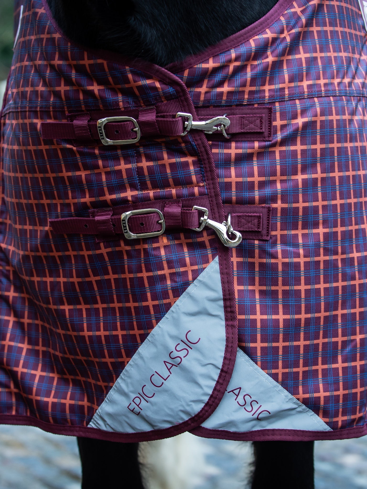 Epic Classic 200g Turnout Rug - Broad Fit