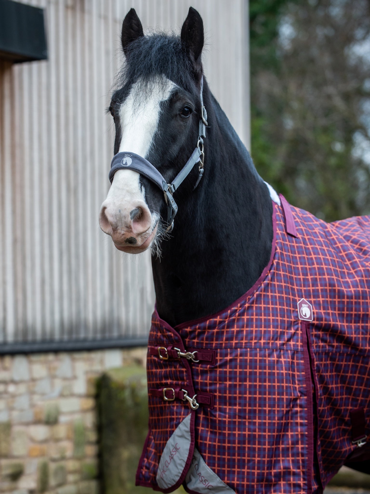 Epic Classic 200g Turnout Rug - Broad Fit