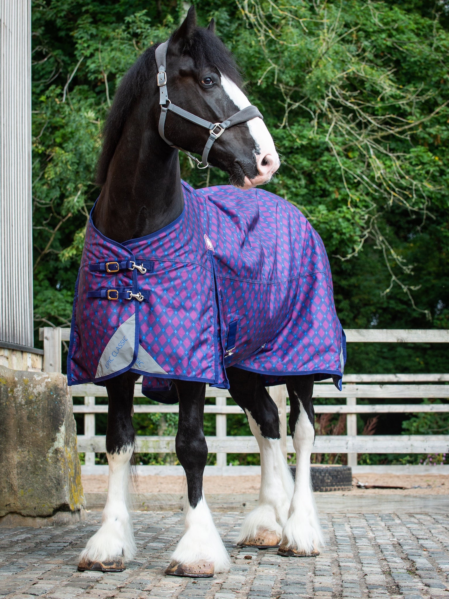 Epic Classic 200g Turnout Rug - Broad Fit