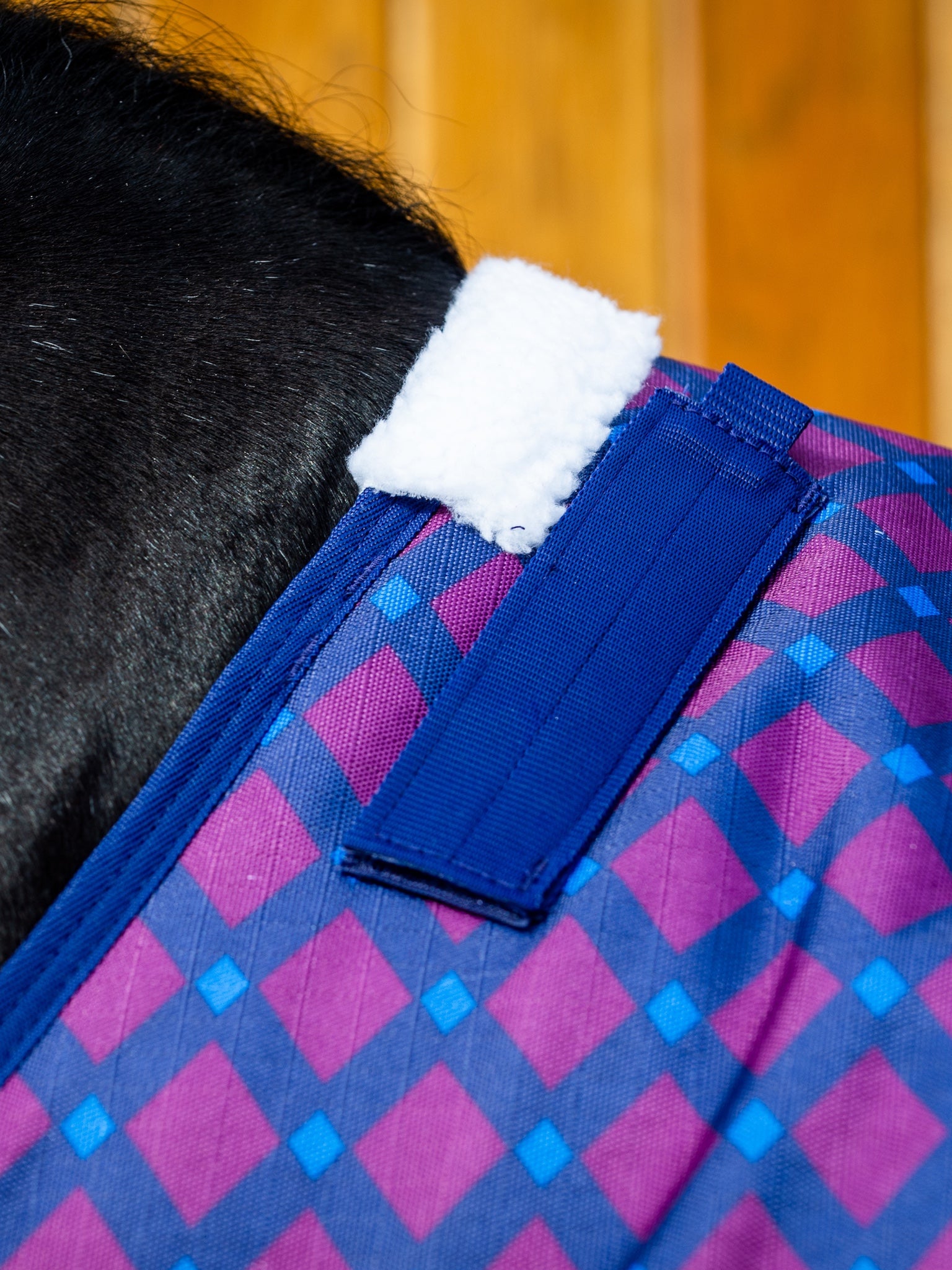 Epic Classic 200g Turnout Rug - Broad Fit