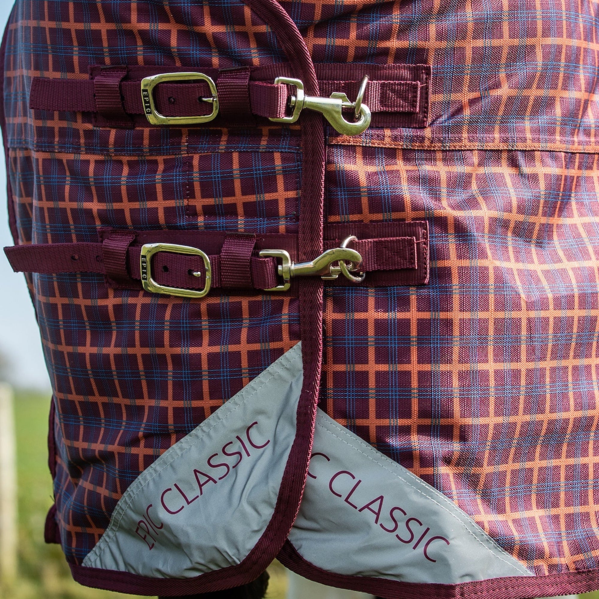 Plaid-patterned horse blanket with silver buckles on a horse in a field.