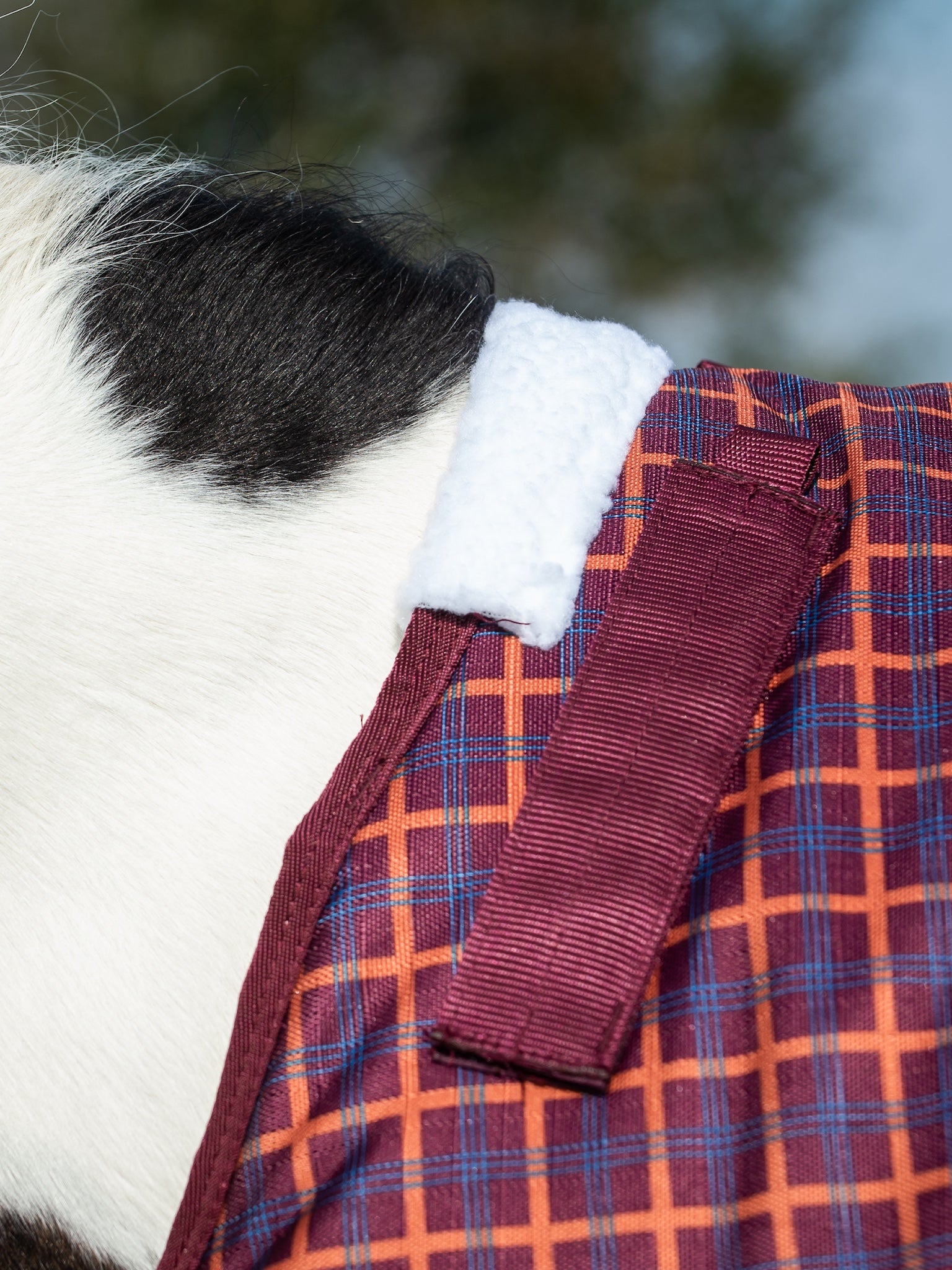 Epic Classic 200g Turnout Rug - Regular Fit