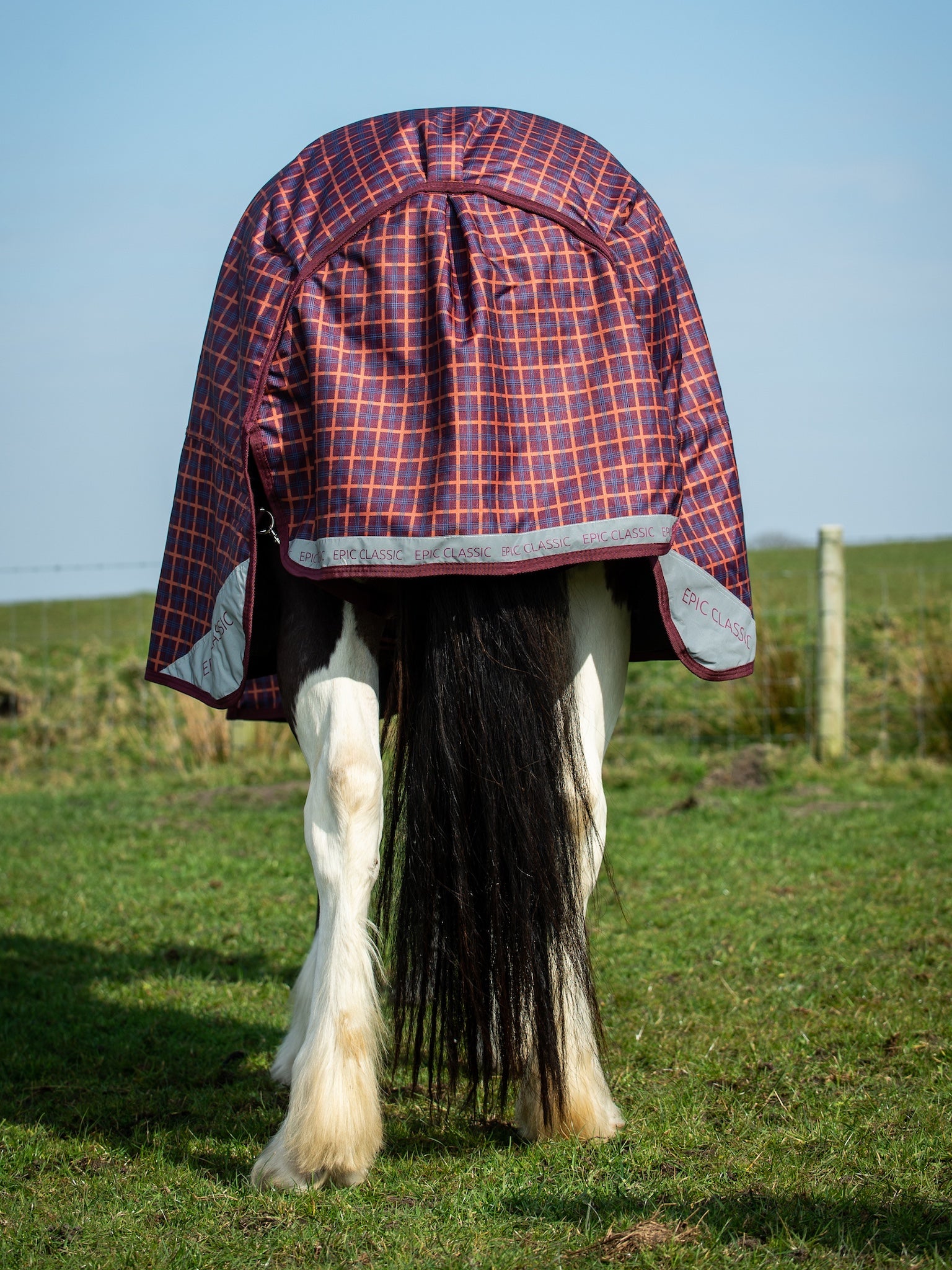 Epic Classic 200g Turnout Rug - Regular Fit