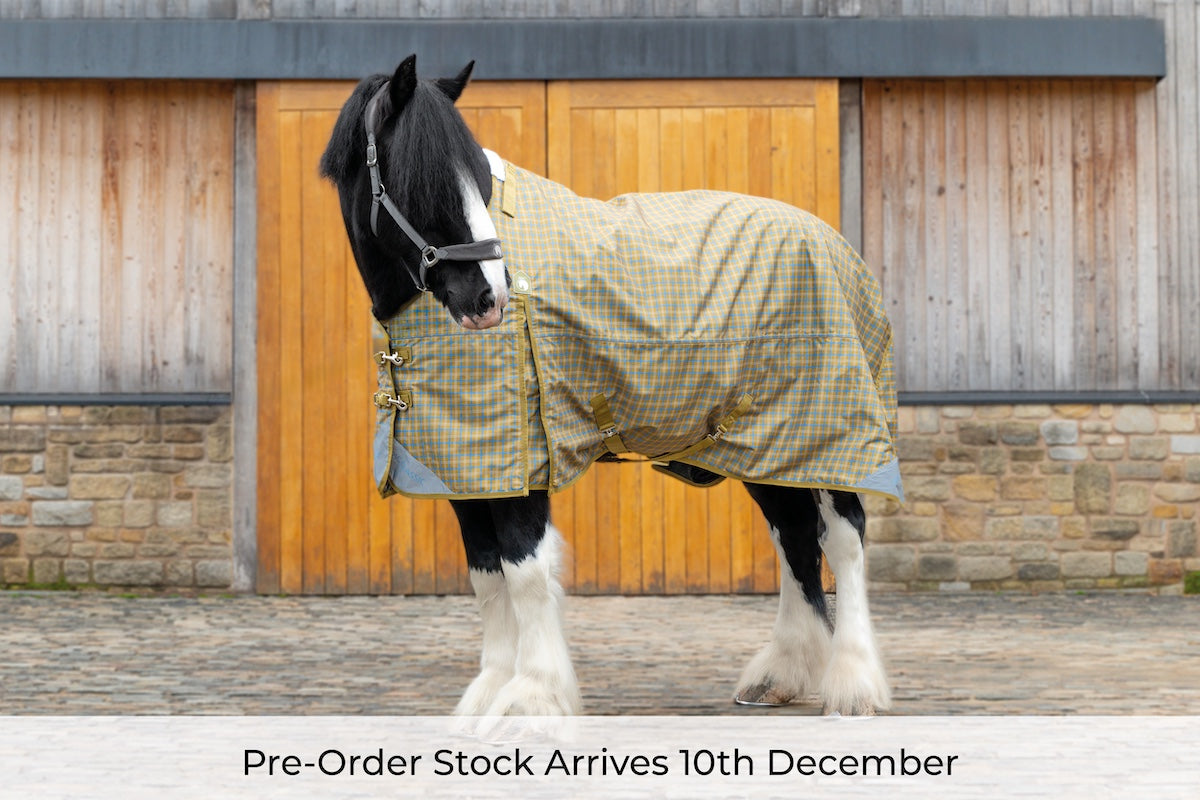Pre-Order Epic Classic No Fill Turnout Rug  -  Broad Fit