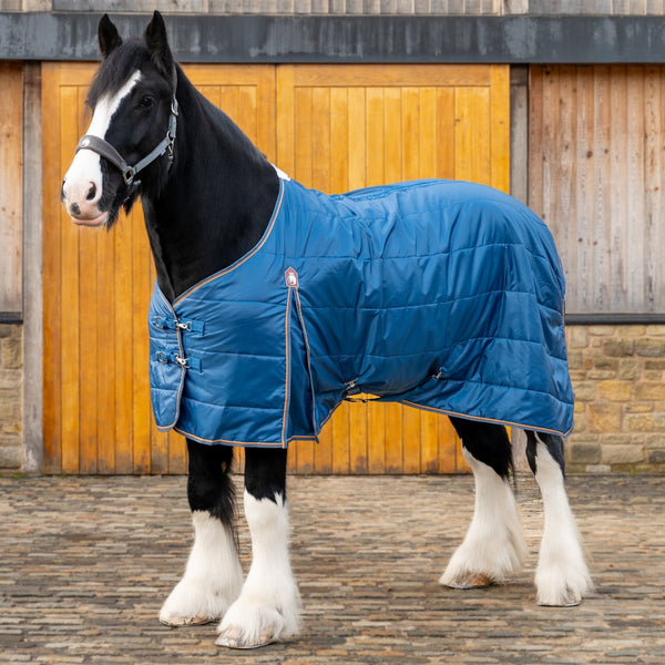 Essential 50g Stable Rug | Heavy Horses | The Big Horse Shop