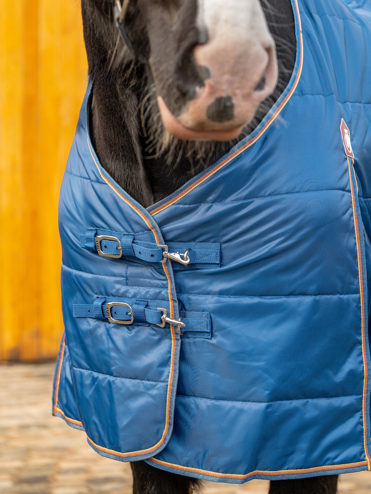 Epic Essential 200g Stable Rug - Broad Fit