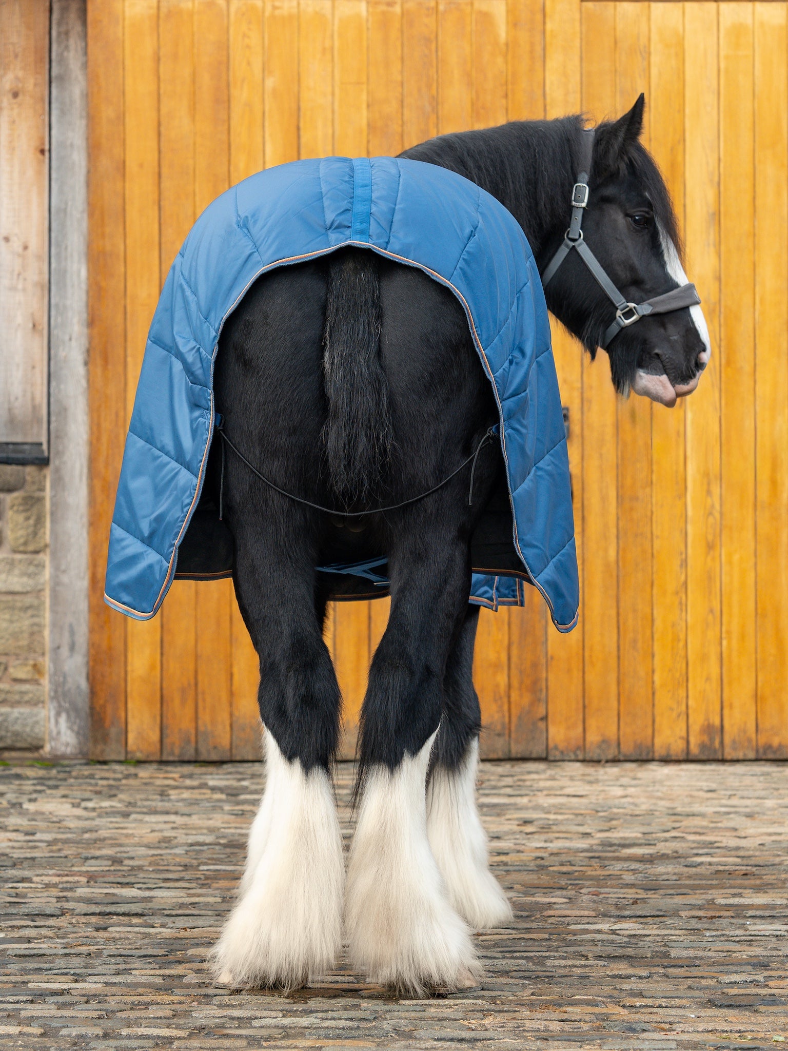 Epic Essential 200g Stable Rug - Broad Fit