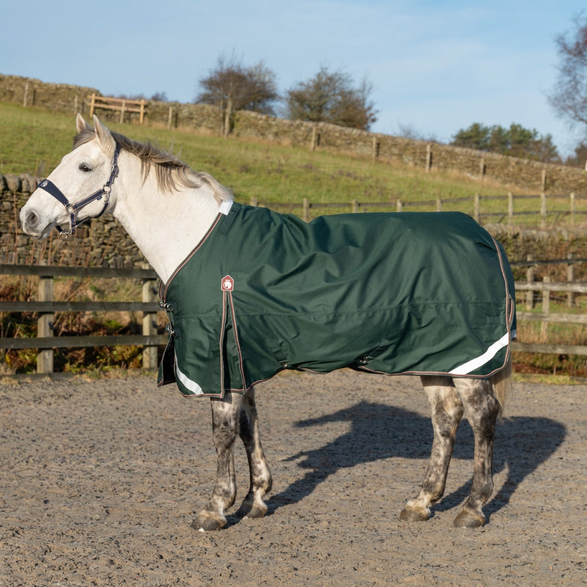 Horse wearing a green blanket in an outdoor setting with a fence and grass in the background.