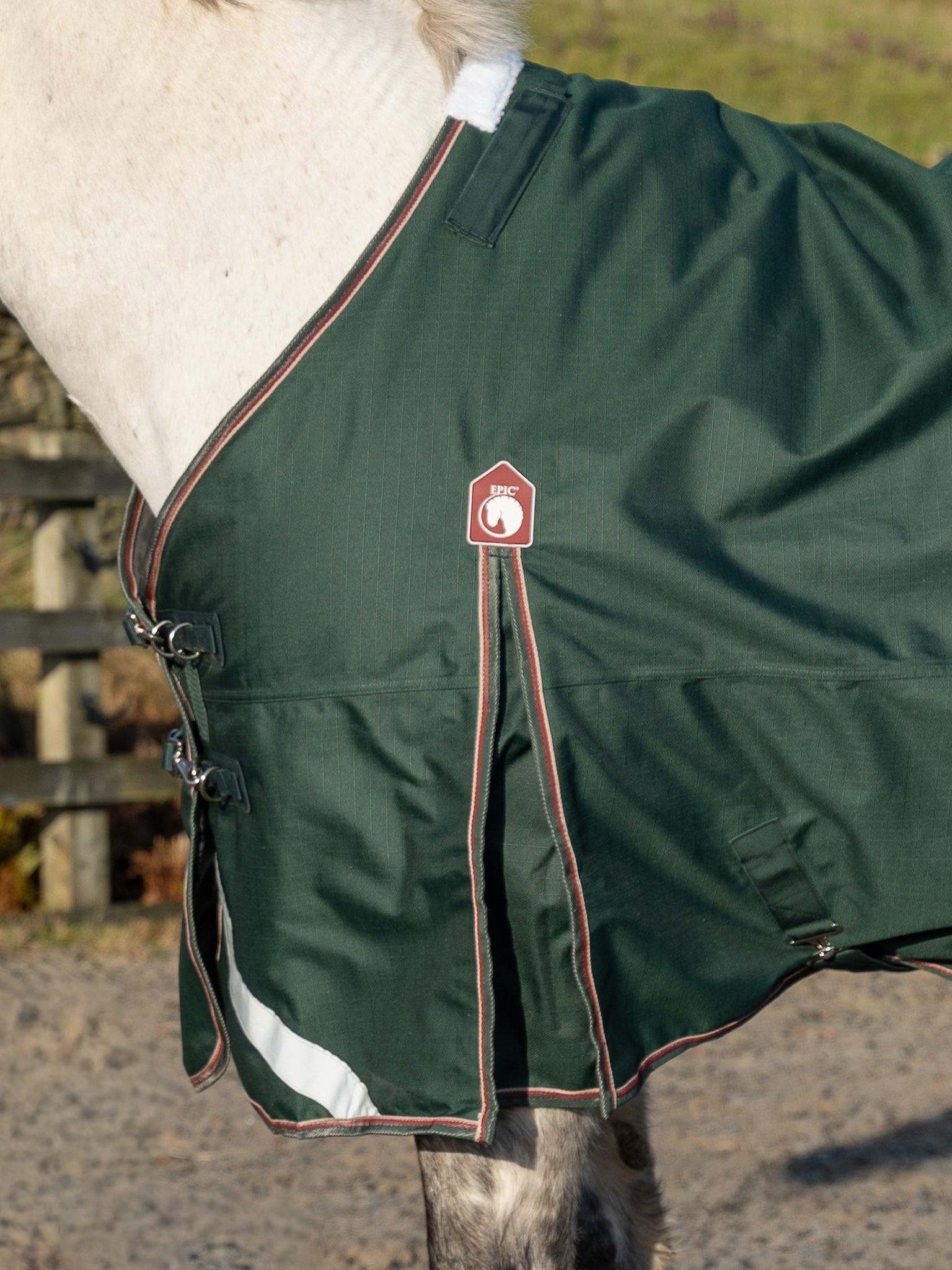 Epic Essential 100g Turnout Rug - Regular Fit