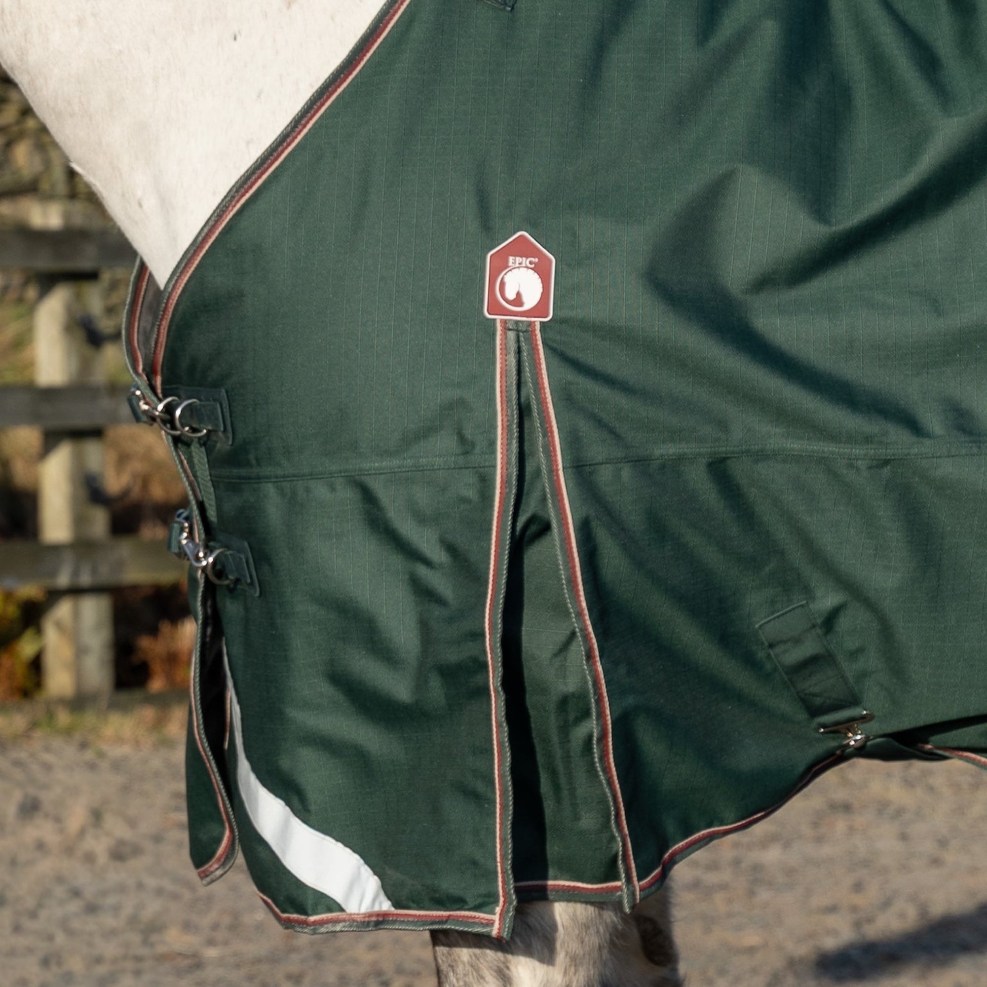 Green horse blanket with a brand logo on a horse's back