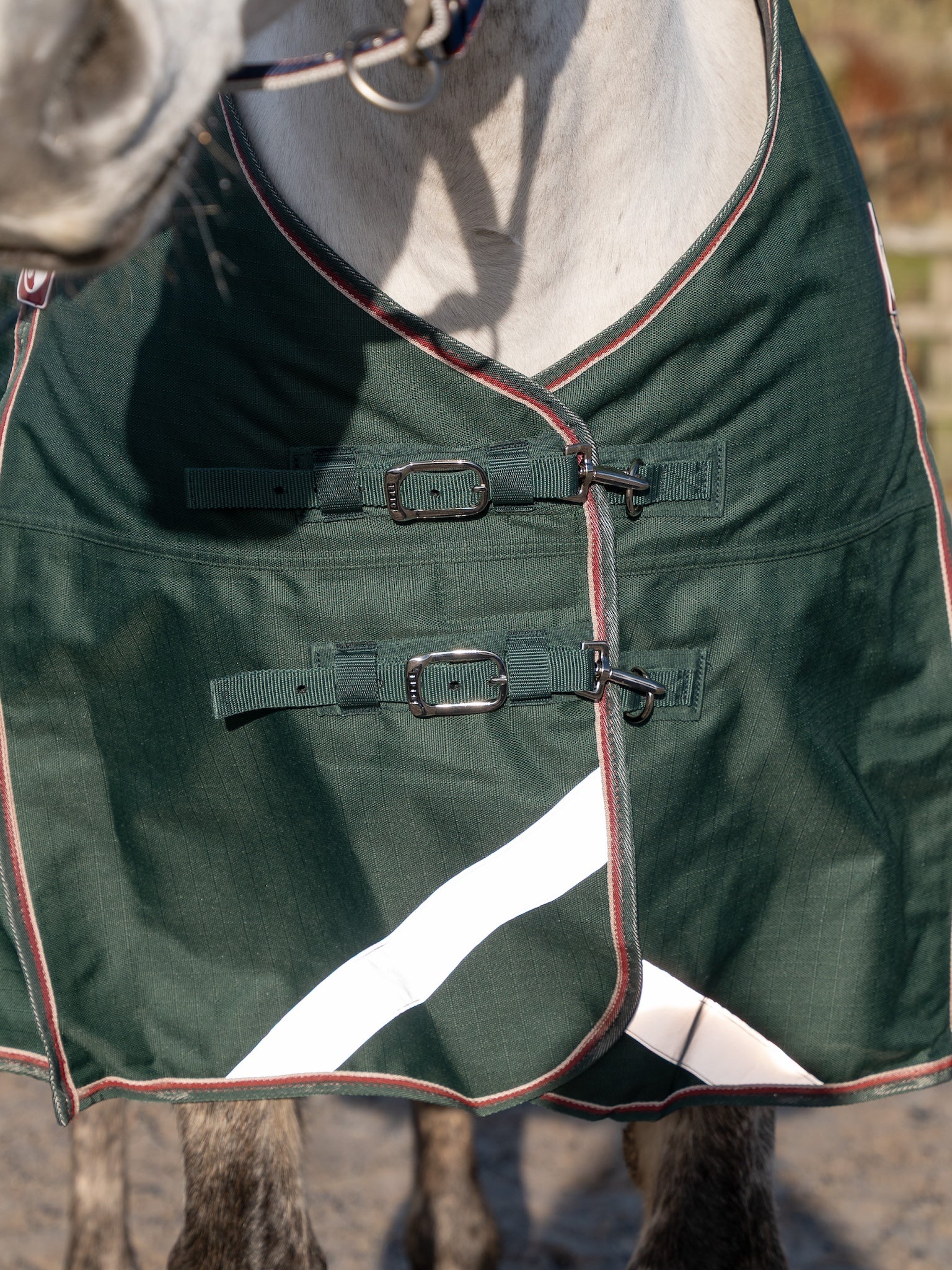 Epic Essential 100g Turnout Rug - Regular Fit