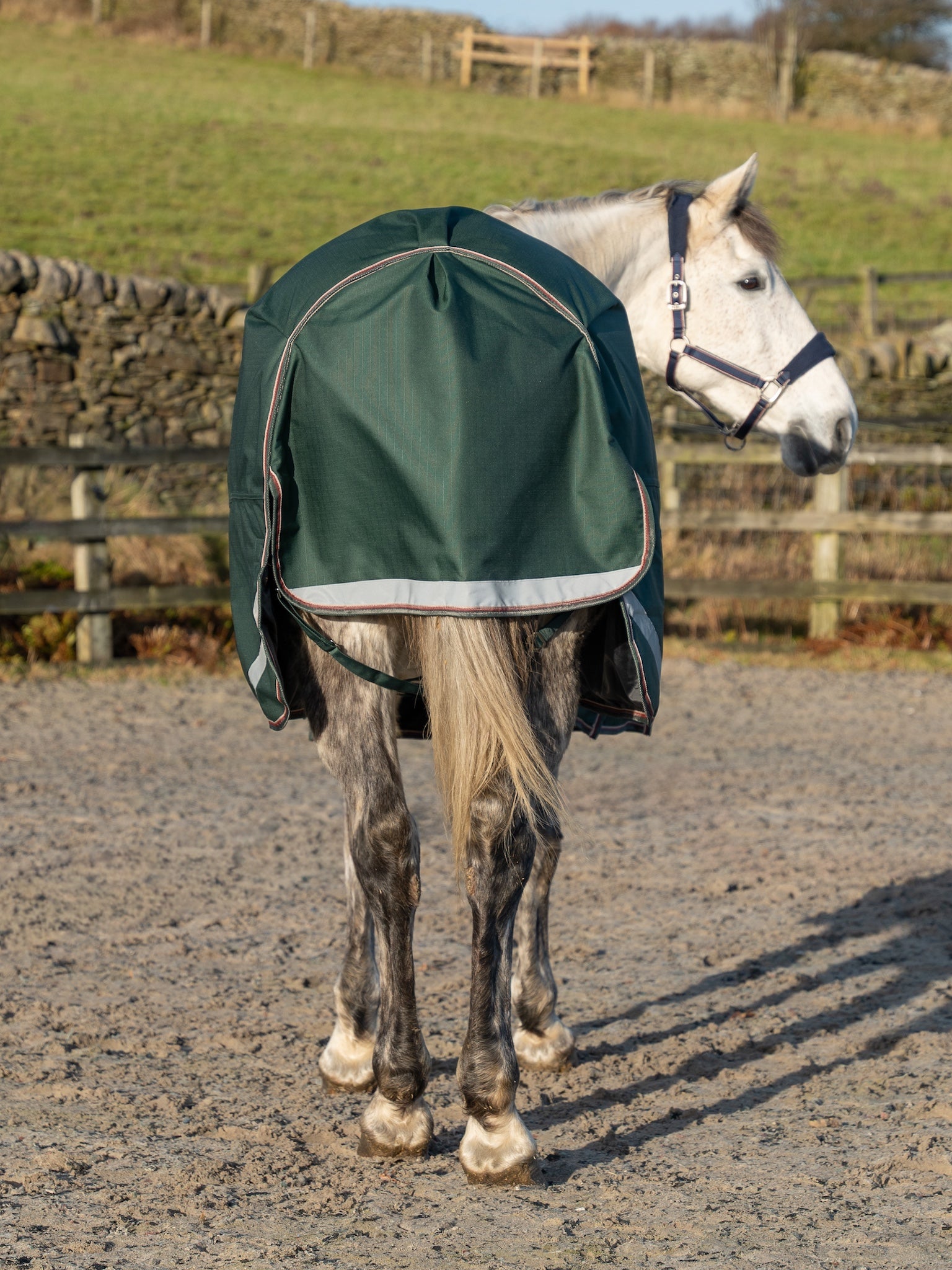 Epic Essential 100g Turnout Rug - Regular Fit