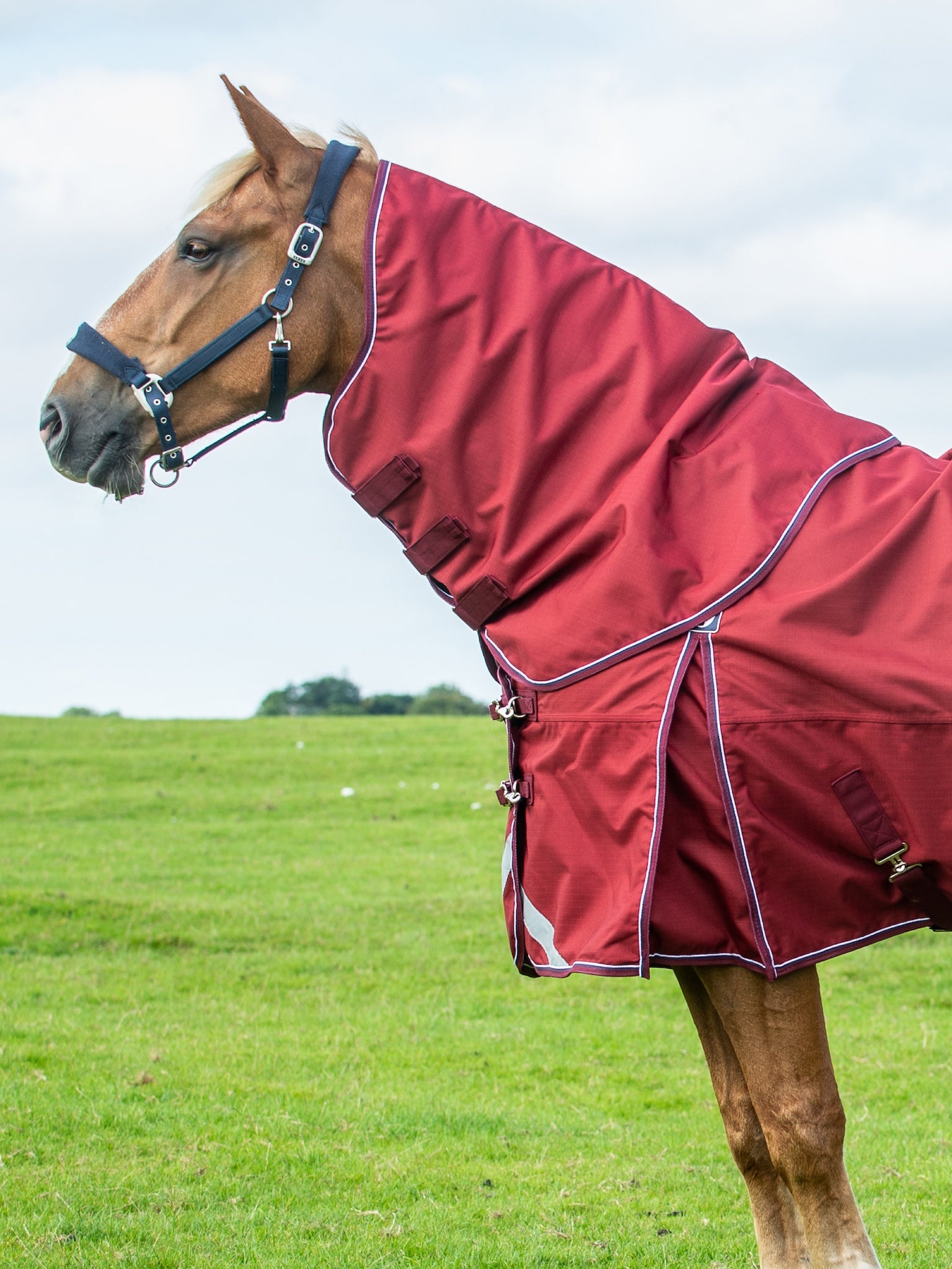 Epic Essential No Fill Turnout Hood  -  Broad Fit