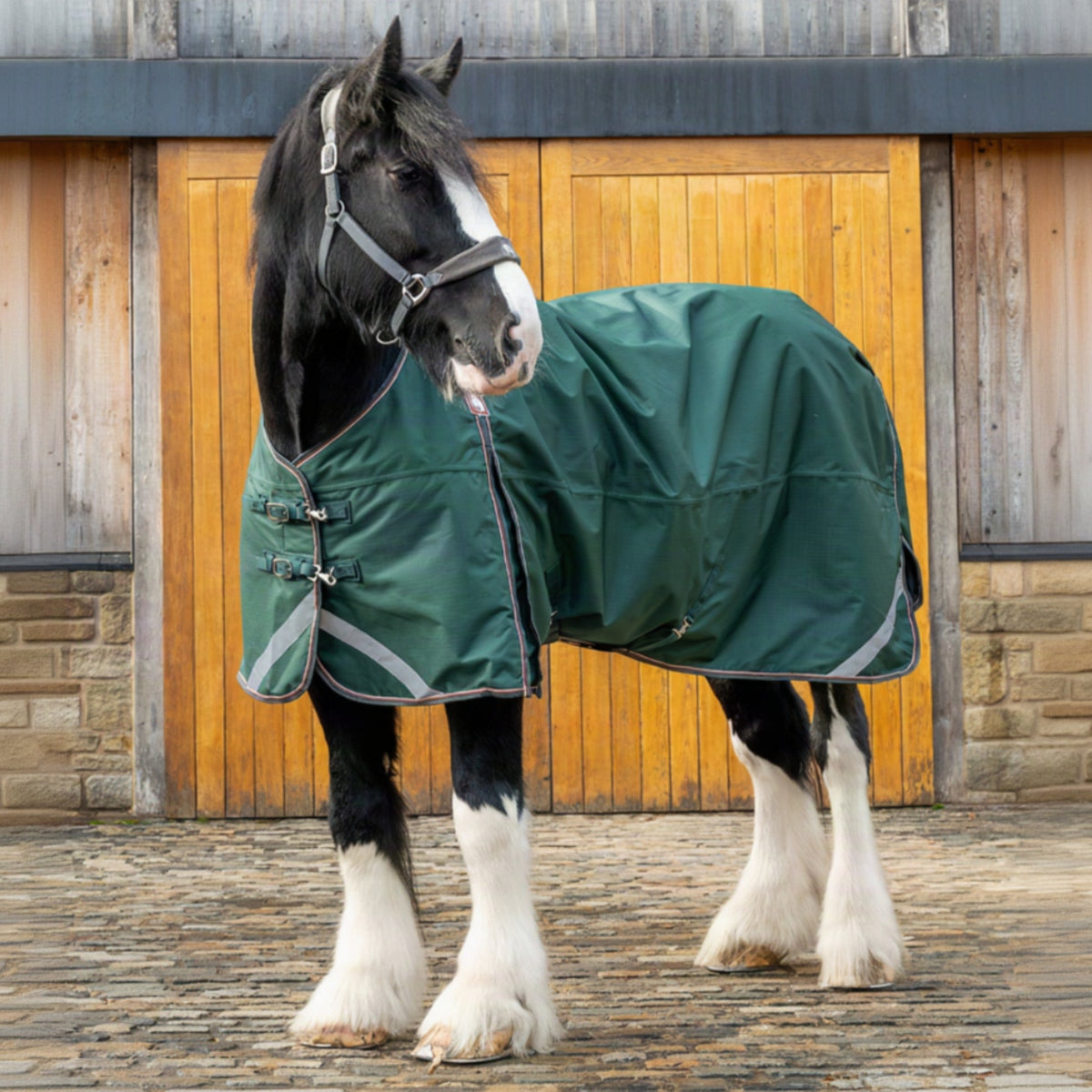 Epic Essential 100g Turnout Rug - Broad Fit - Forest