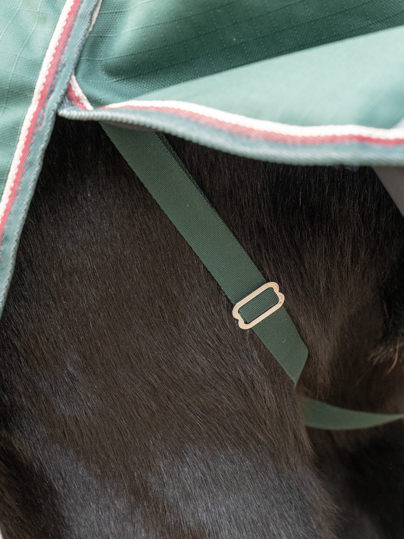 Epic Essential 100g Turnout Rug - Broad Fit