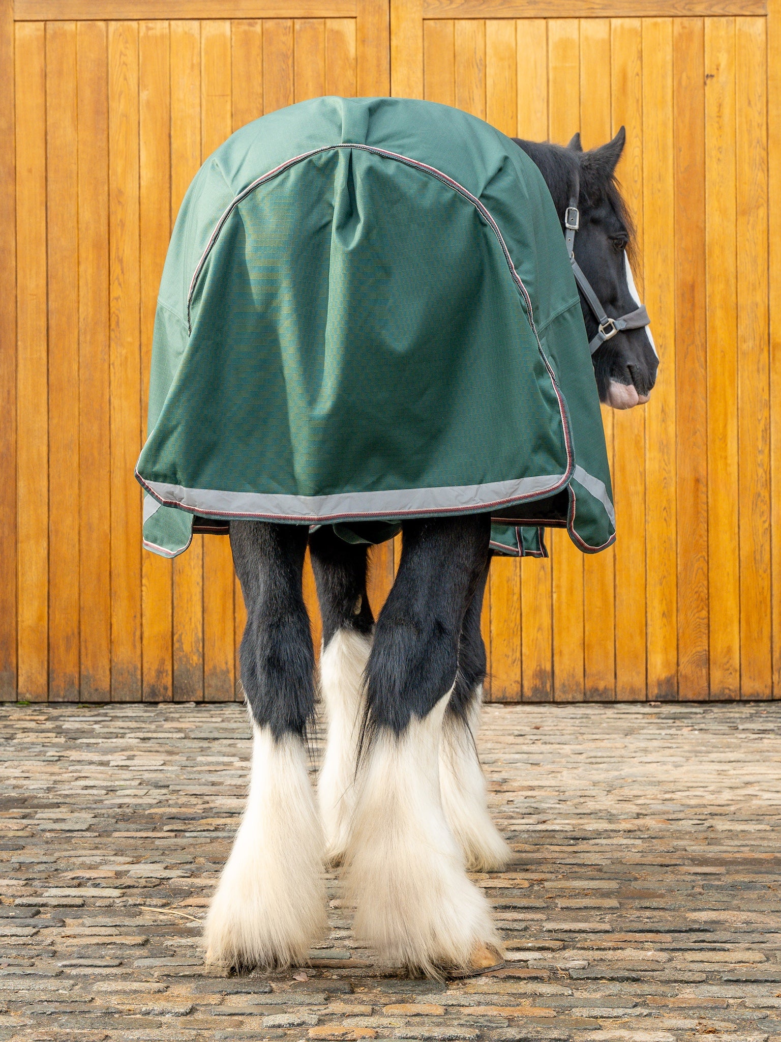 Epic Essential 100g Turnout Rug - Broad Fit