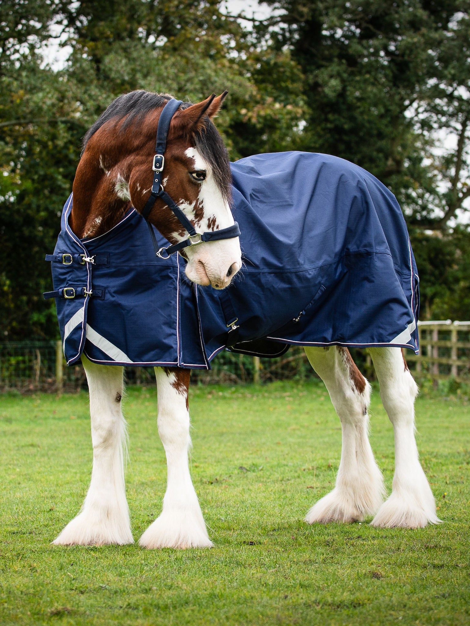 Epic Essential 40g Turnout Rug  -  Broad Fit