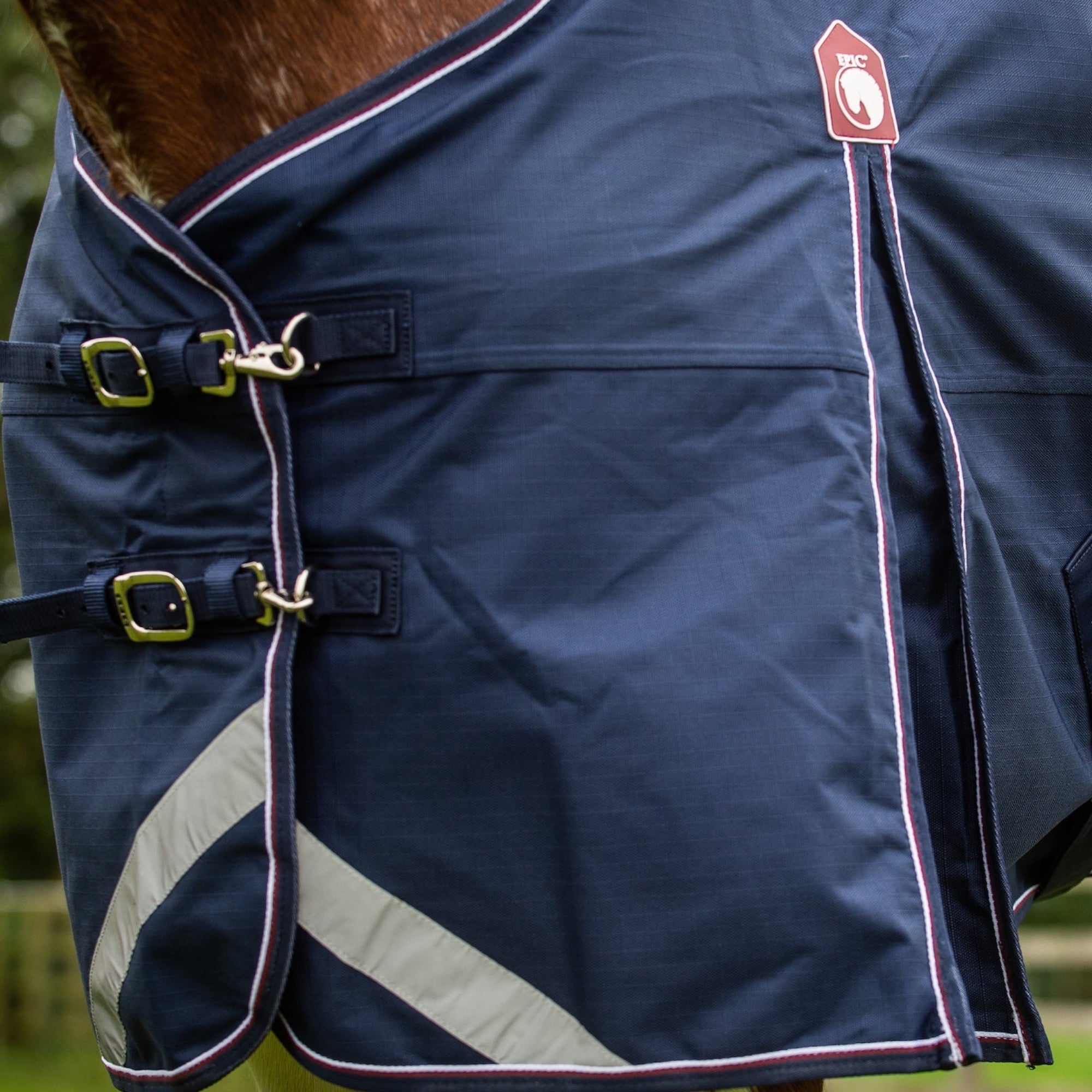 Navy horse blanket with reflective strip on a horse in a grassy field
