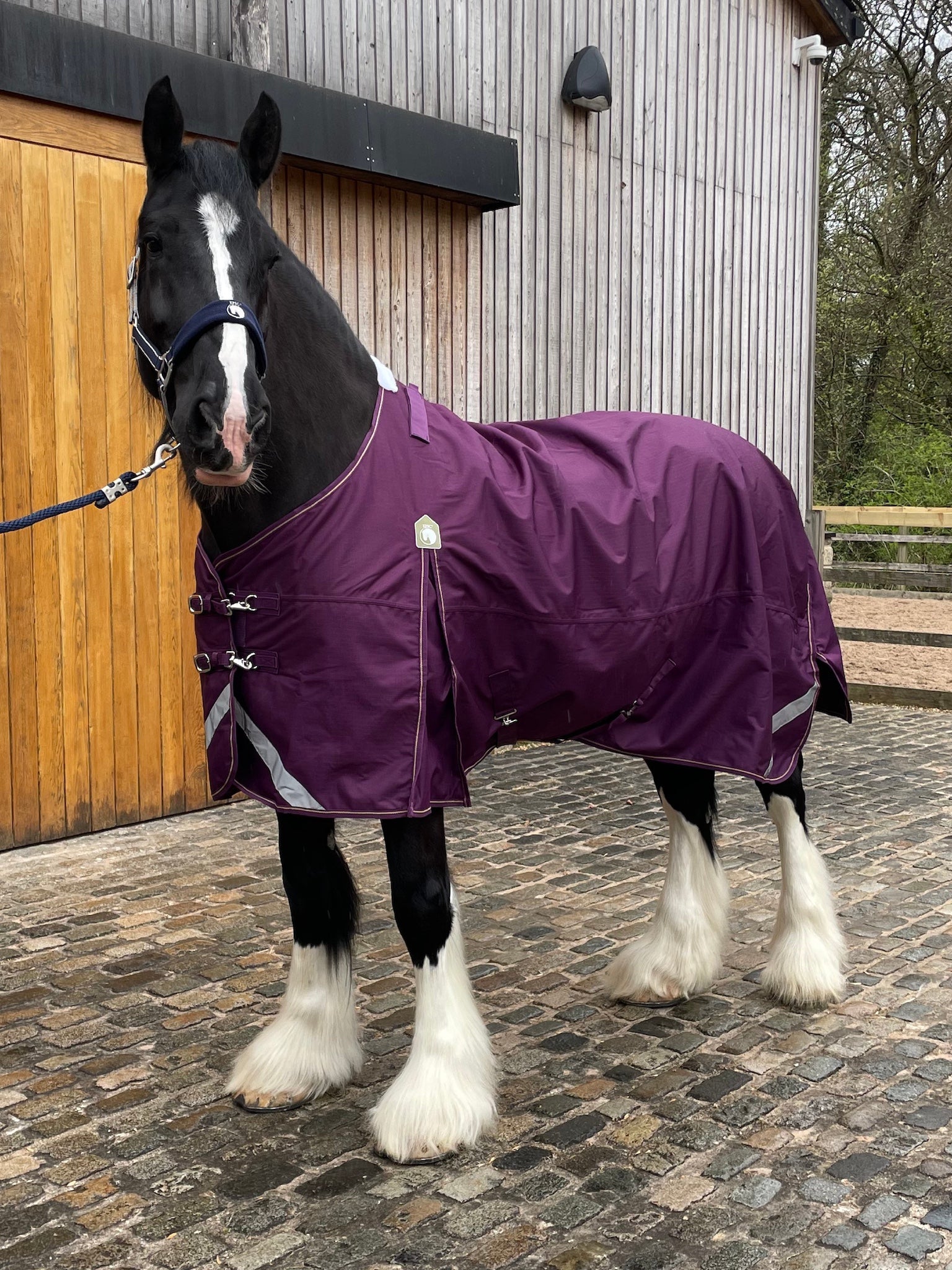 Epic Essential No Fill Turnout Rug  -  Broad Fit