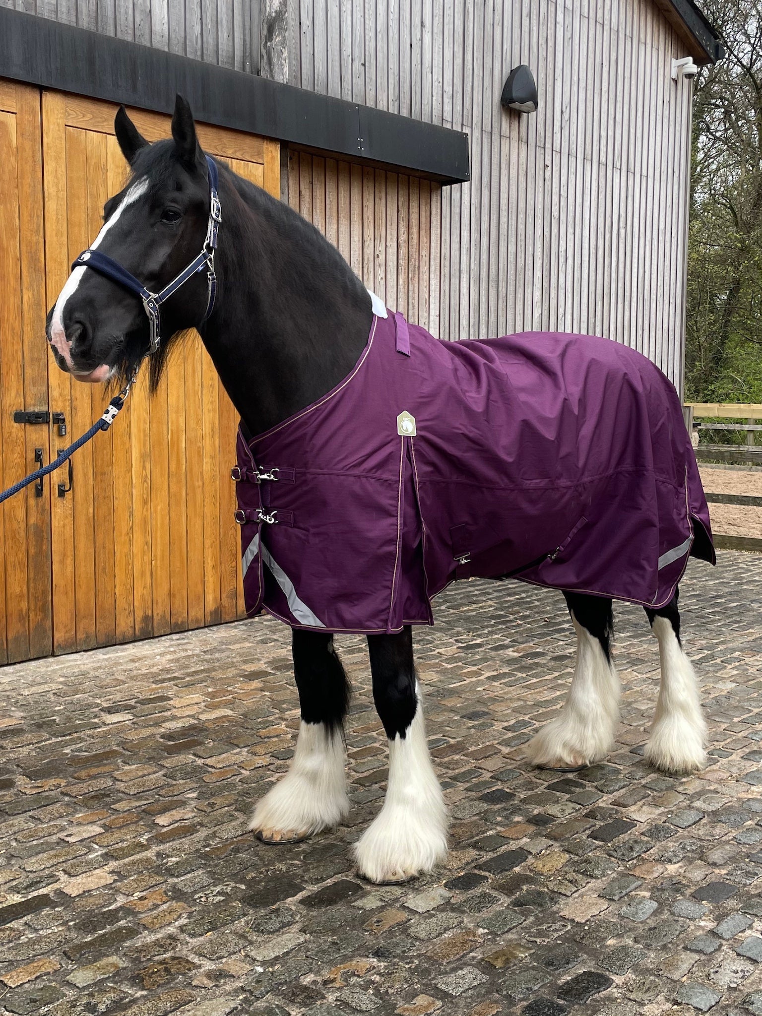 Epic Essential 40g Turnout Rug  -  Broad Fit