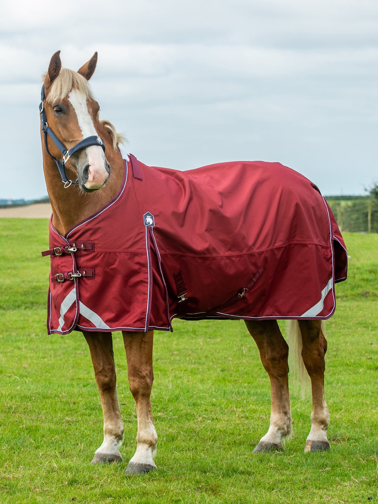 Epic Essential No Fill Turnout Rug  -  Broad Fit